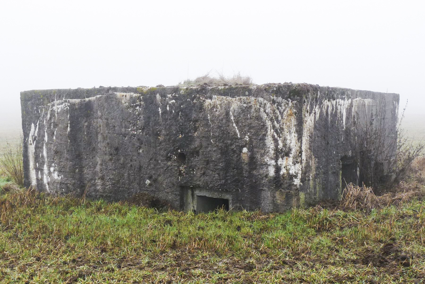 Ligne Maginot - CAPPEL 7 - (Blockhaus pour canon) -  - Sylvie Laure LAMBERT