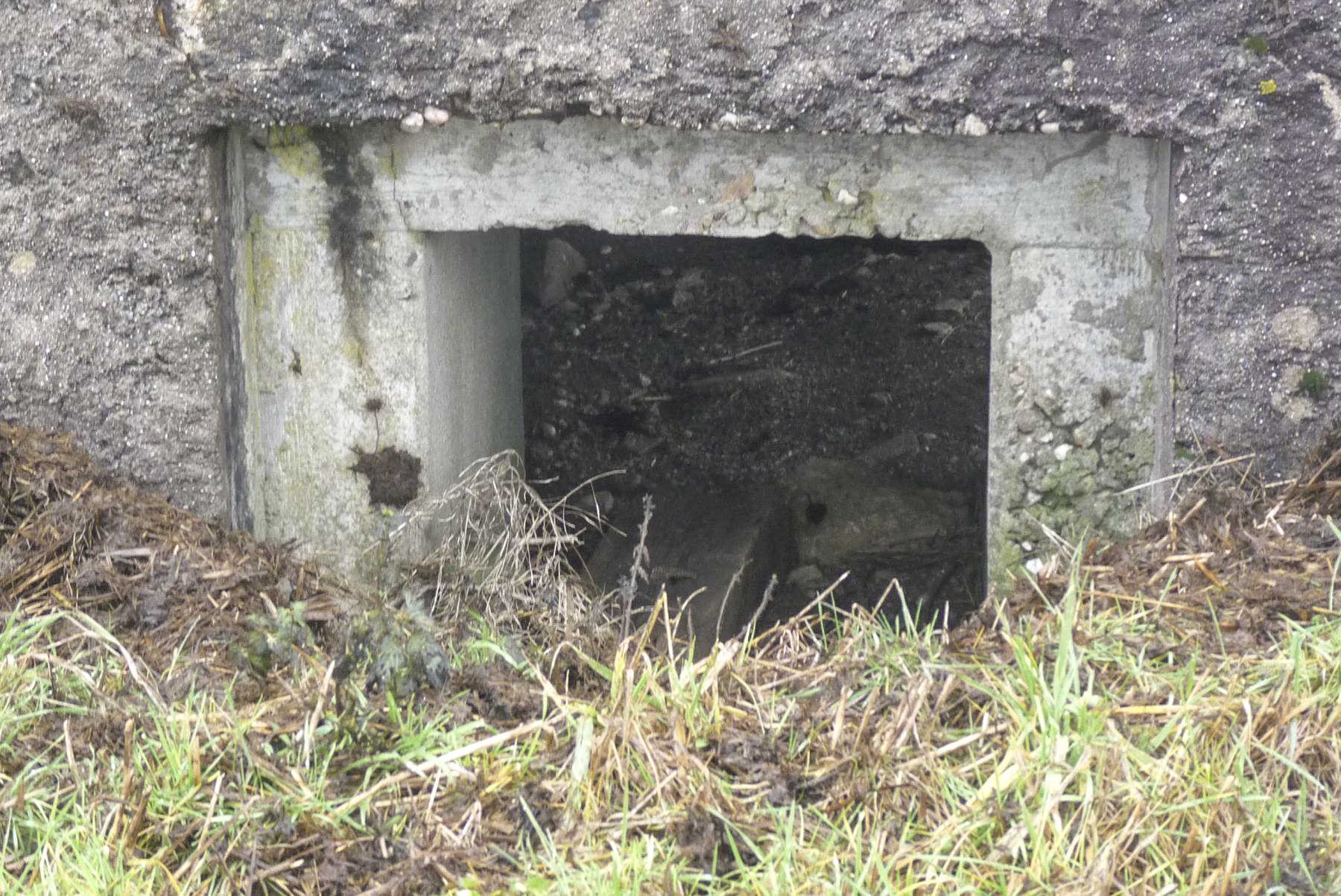 Ligne Maginot - CAPPEL 7 - (Blockhaus pour canon) -  - Sylvie Laure LAMBERT