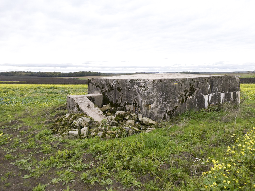 Ligne Maginot - DRIESCHBERG 1 - (Blockhaus pour arme infanterie) -  - ELLENA - CUNY