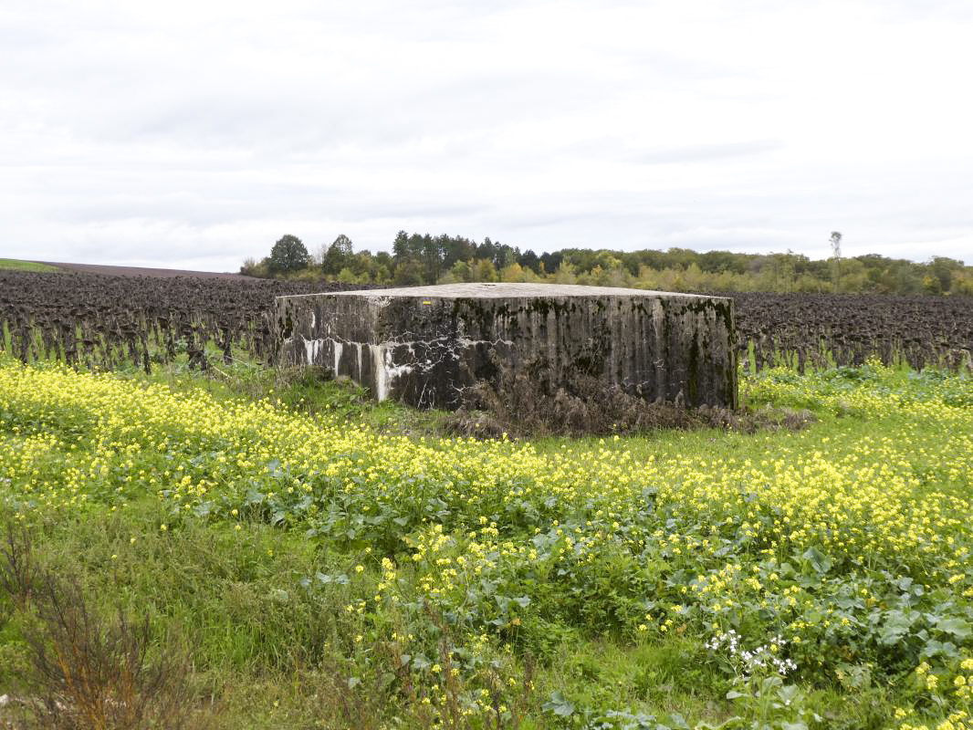 Ligne Maginot - DRIESCHBERG 1 - (Blockhaus pour arme infanterie) -  - ELLENA - CUNY