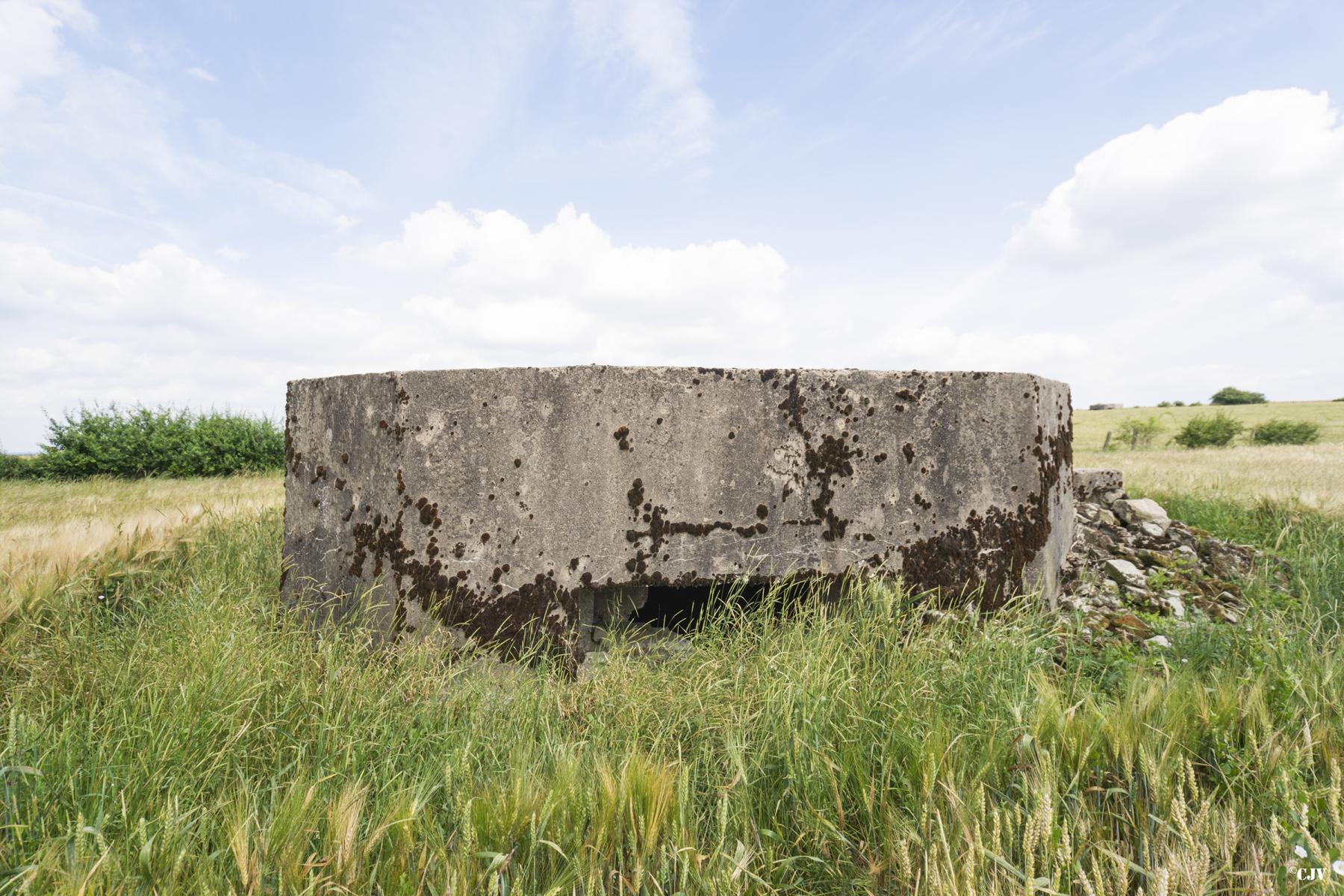 Ligne Maginot - DRIESCHBERG 1 - (Blockhaus pour arme infanterie) -                         - Lia VERMEULEN