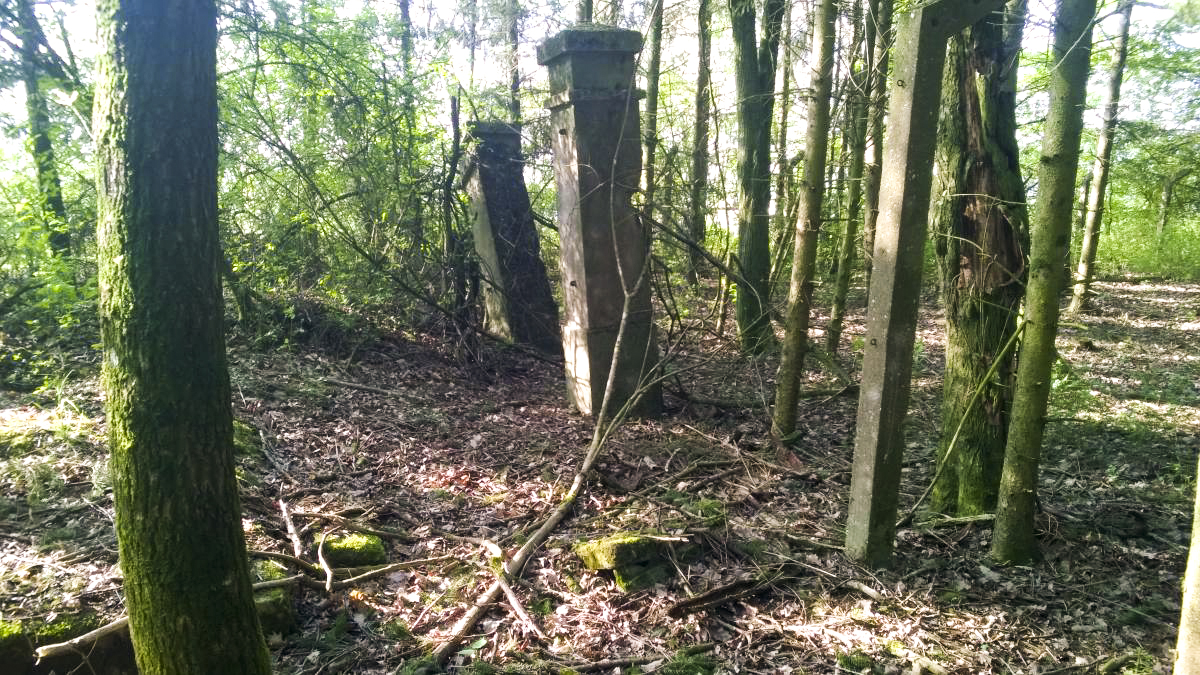 Ligne Maginot - Dépôt de LEYVILLER - Cet endroit est devenu une sapinière, ou l'on peut encore croiser quelques poteaux de délimitation, 2 poteaux de portail et une dalle - jin jac