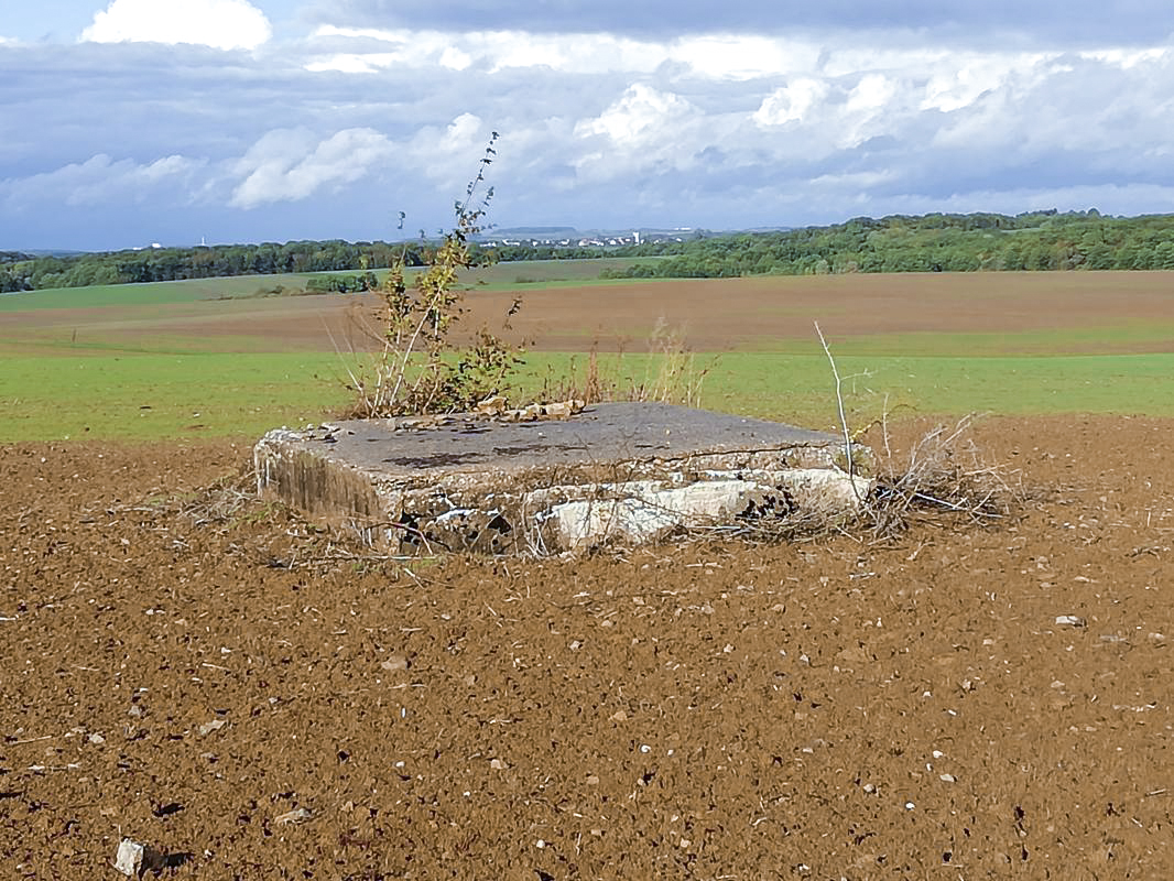 Ligne Maginot - LOCHEL NORD - (Blockhaus de type indeterminé) - Vu depuis le chemin - Jin Jac