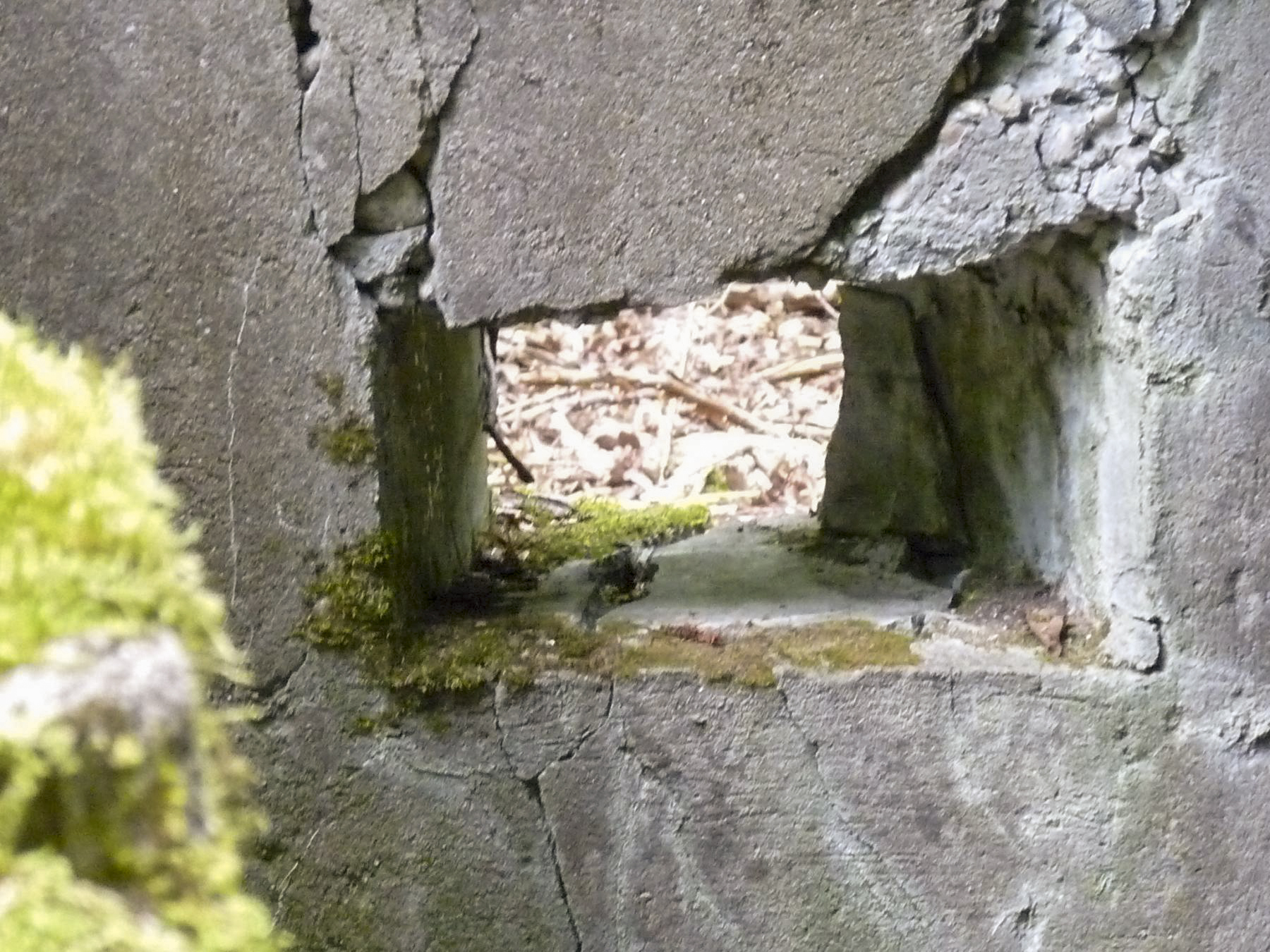 Ligne Maginot - M1B - TAUBRUNNENWALD - (Blockhaus pour arme infanterie) -  - Sylvie Laure LAMBERT