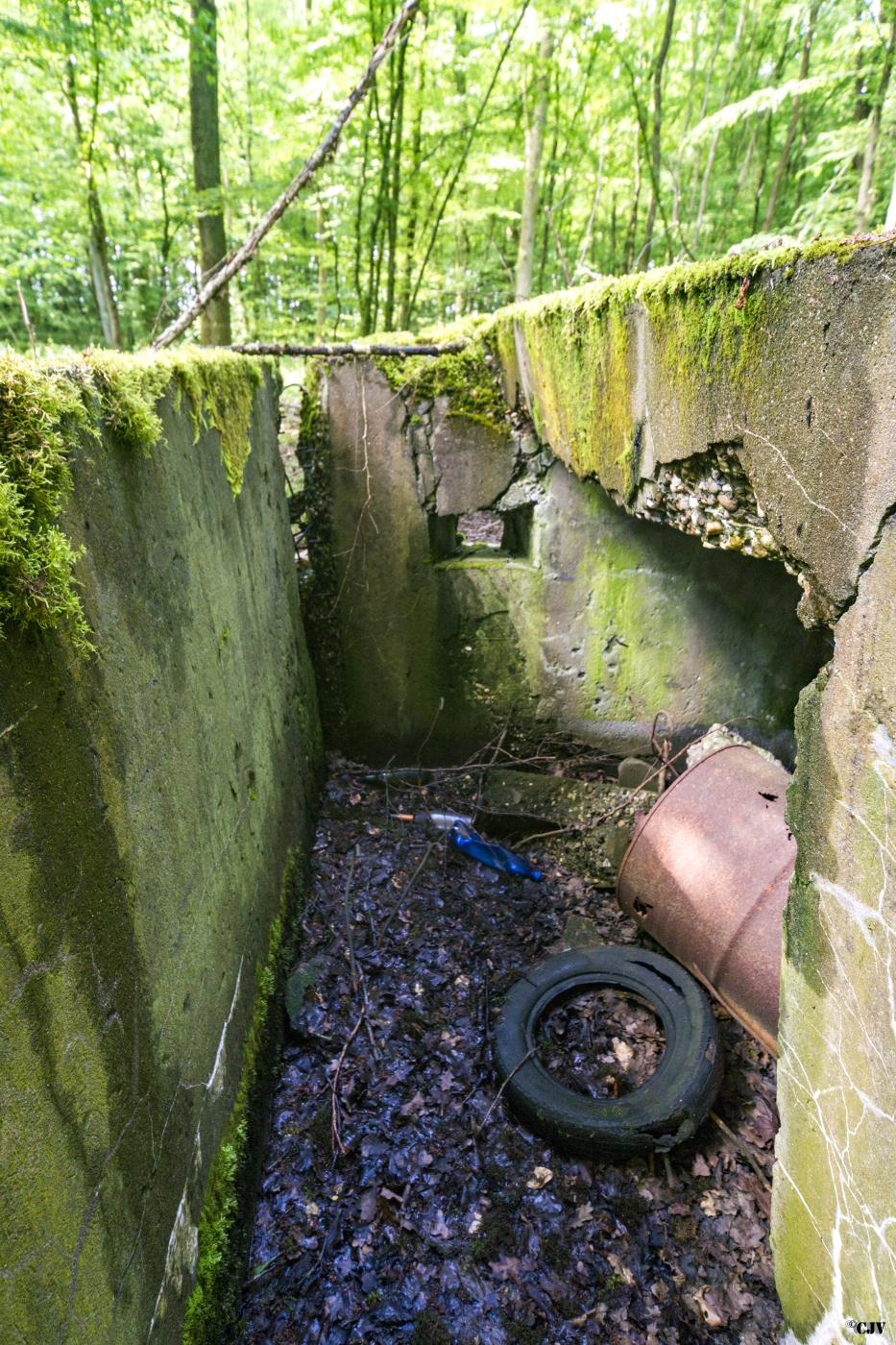 Ligne Maginot - M1B - TAUBRUNNENWALD - (Blockhaus pour arme infanterie) -  - Lia VERMEULEN