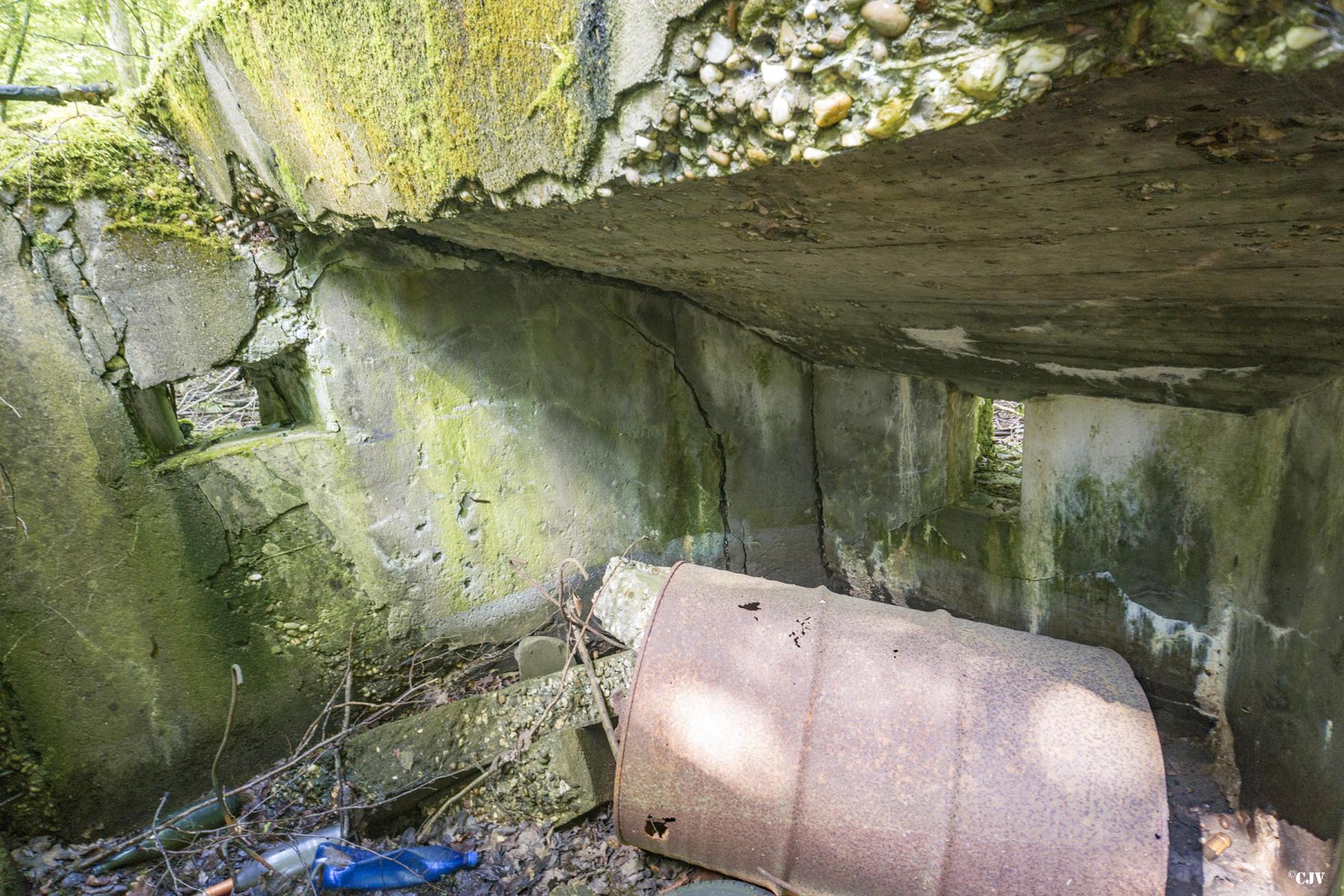 Ligne Maginot - M1B - TAUBRUNNENWALD - (Blockhaus pour arme infanterie) -      - Lia VERMEULEN