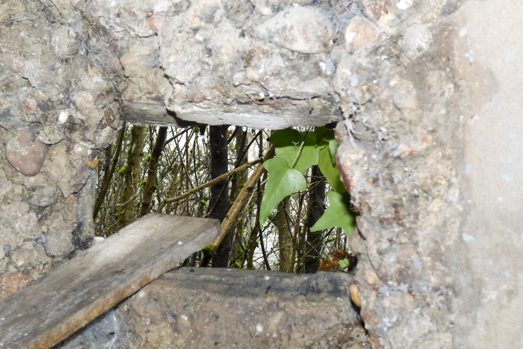 Ligne Maginot - M3B - CAPPEL 2 - (Blockhaus pour arme infanterie) -  - Sylvie Laure LAMBERT
