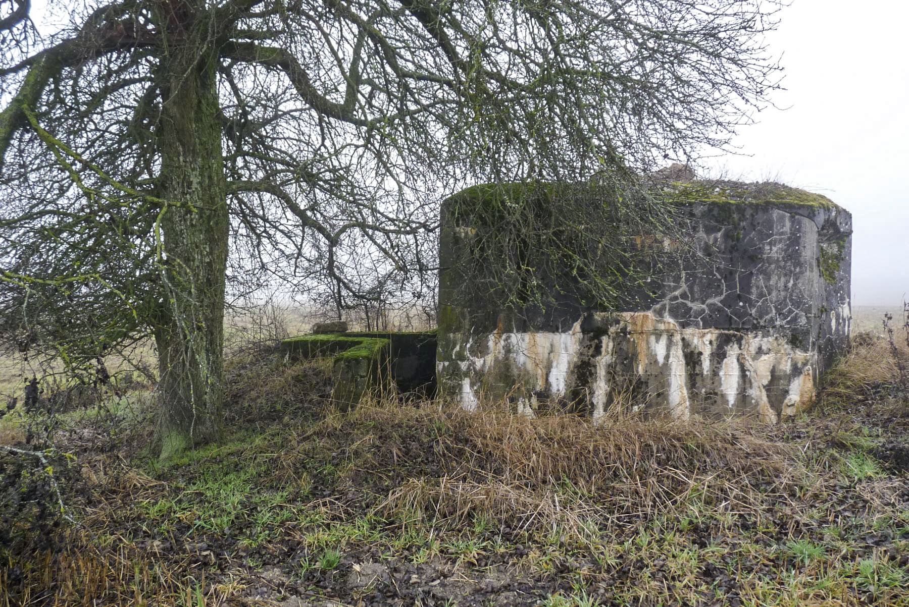 Ligne Maginot - M7B - CAPPEL NORD - (Blockhaus pour arme infanterie) -  - Sylvie Laure LAMBERT