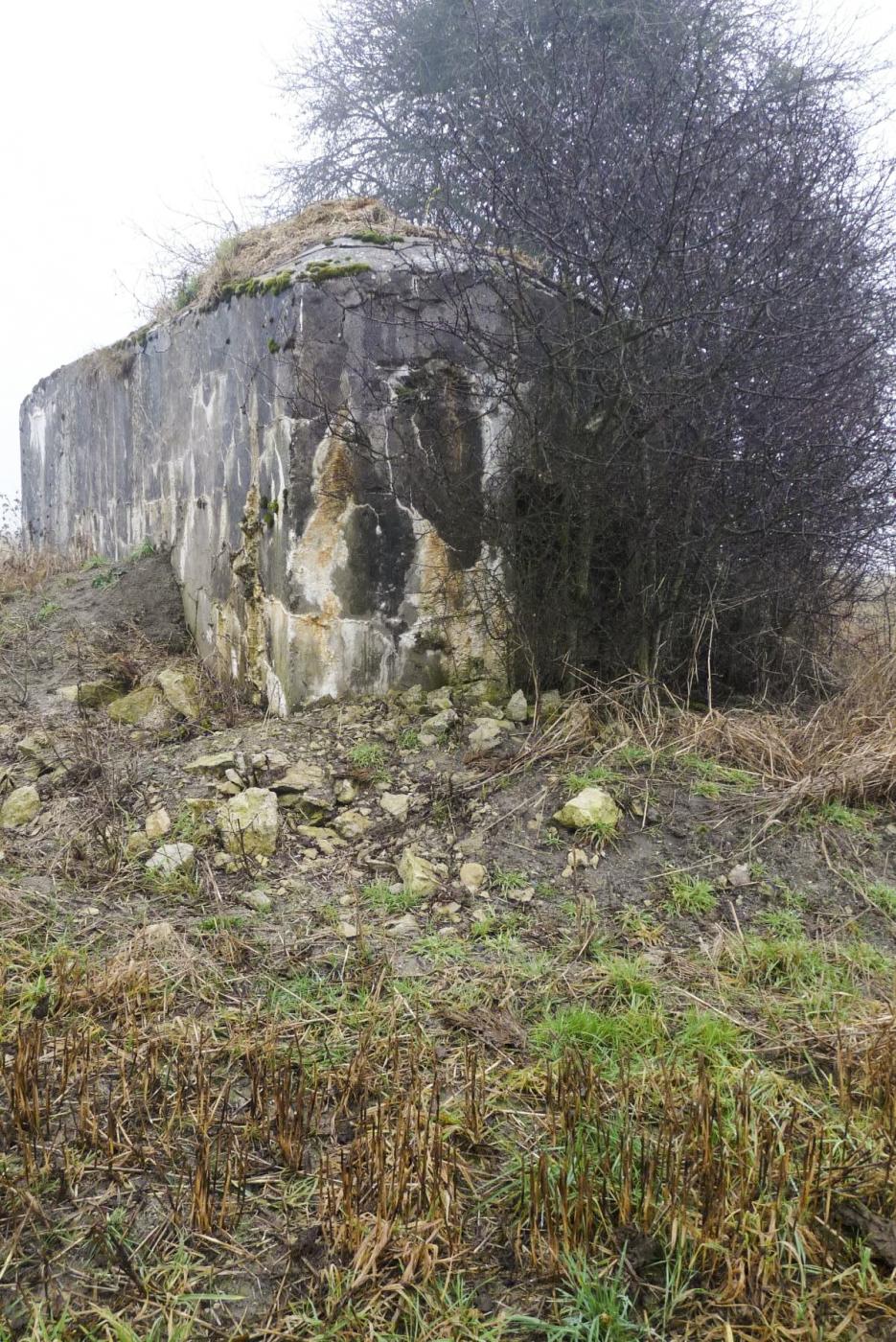 Ligne Maginot - M7B - CAPPEL NORD - (Blockhaus pour arme infanterie) -  - Sylvie Laure LAMBERT
