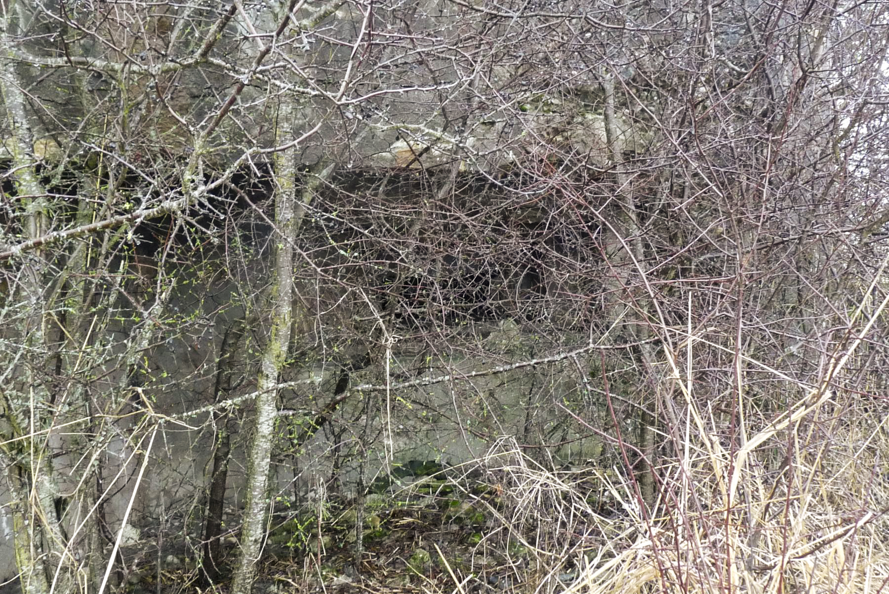 Ligne Maginot - M7B - CAPPEL NORD - (Blockhaus pour arme infanterie) -  - Sylvie Laure LAMBERT