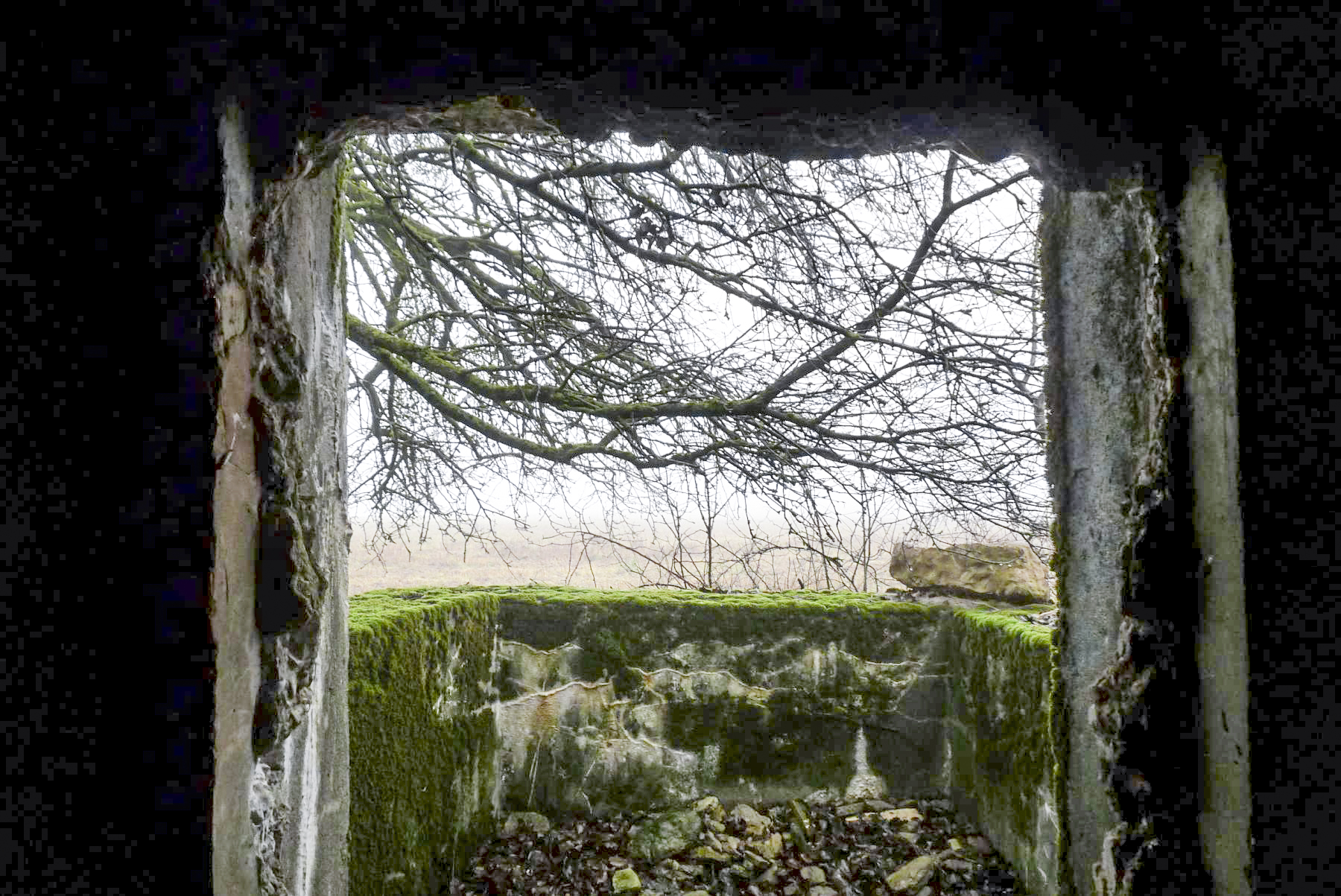 Ligne Maginot - M7B - CAPPEL NORD - (Blockhaus pour arme infanterie) -  - Sylvie Laure LAMBERT