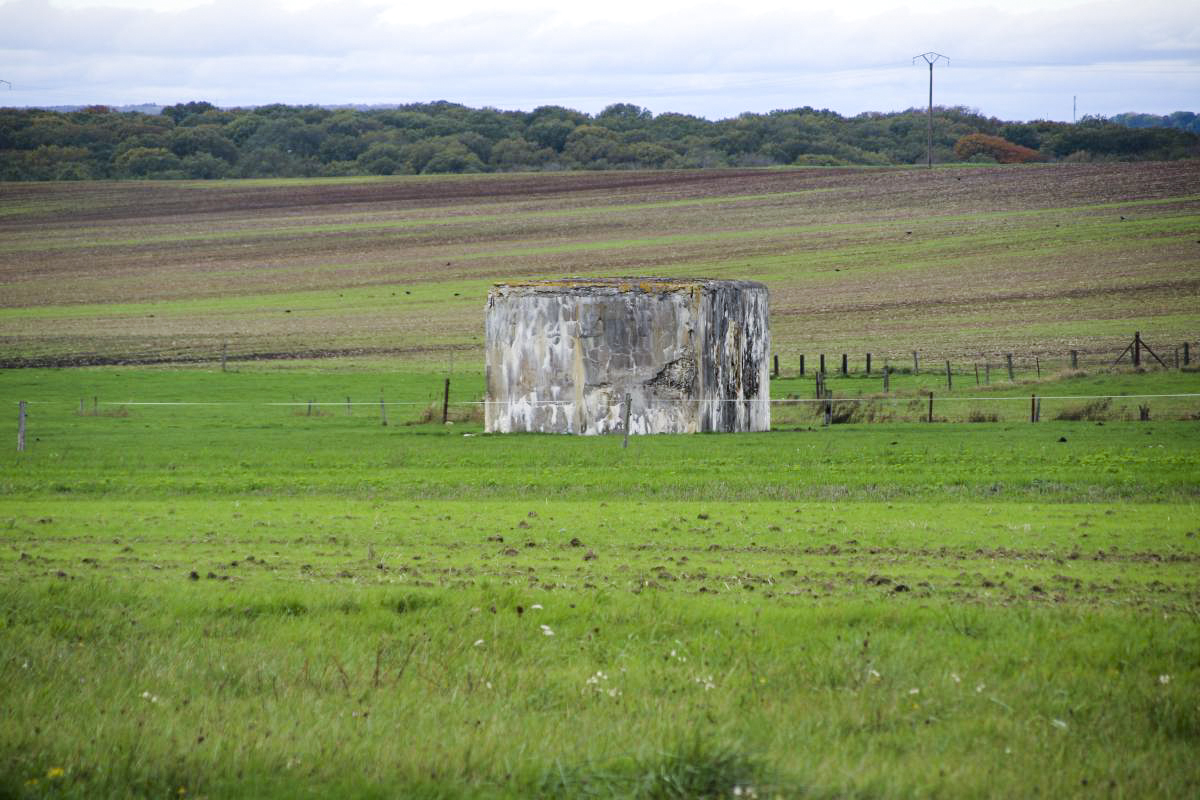 Ligne Maginot - M38 BIS - (Blockhaus pour arme infanterie) -                         - Michel et Philippe Zimmer