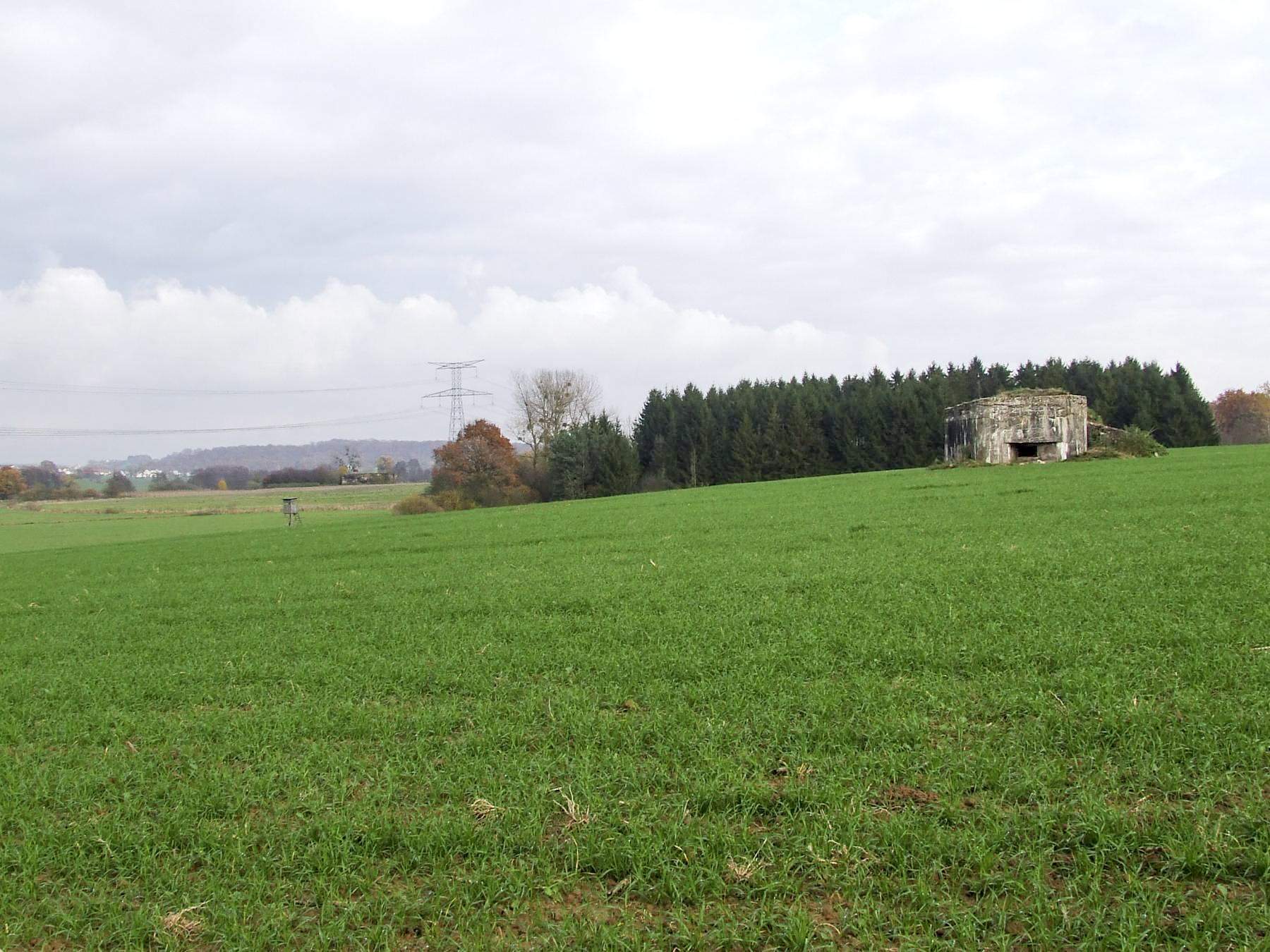 Ligne Maginot - M71B - (Blockhaus pour arme infanterie) - Le blockhaus à droite et la casemate MC07 à gauche près du pylone électrique. - STENGER Mathieu