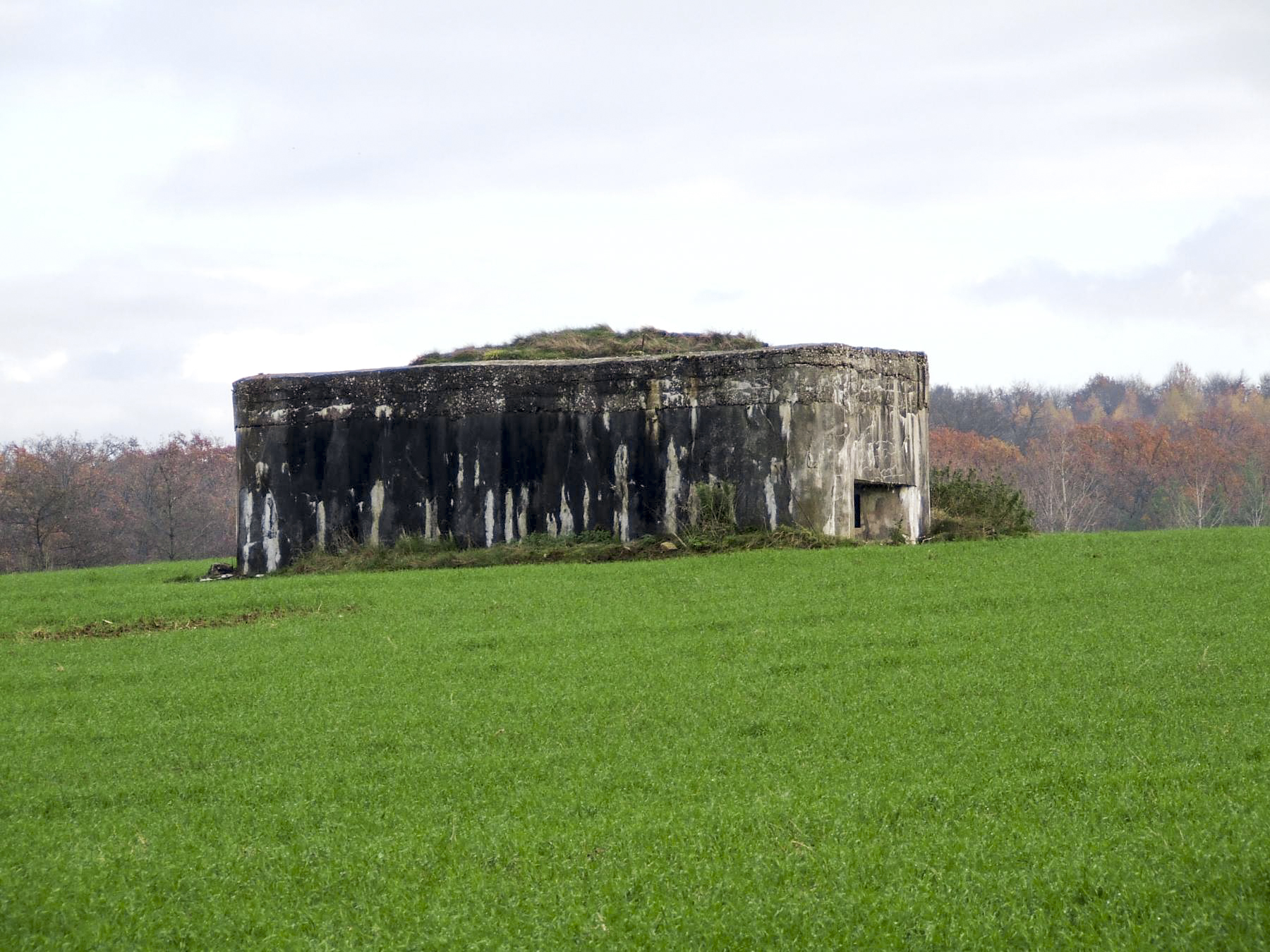 Ligne Maginot - M71B - (Blockhaus pour arme infanterie) - La façade frontale sans remblai en terre. - STENGER Mathieu