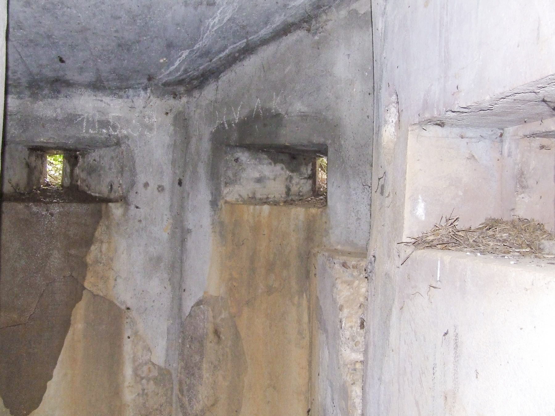 Ligne Maginot - M71B - (Blockhaus pour arme infanterie) - La caponnière pour tir au fusil. - STENGER Mathieu