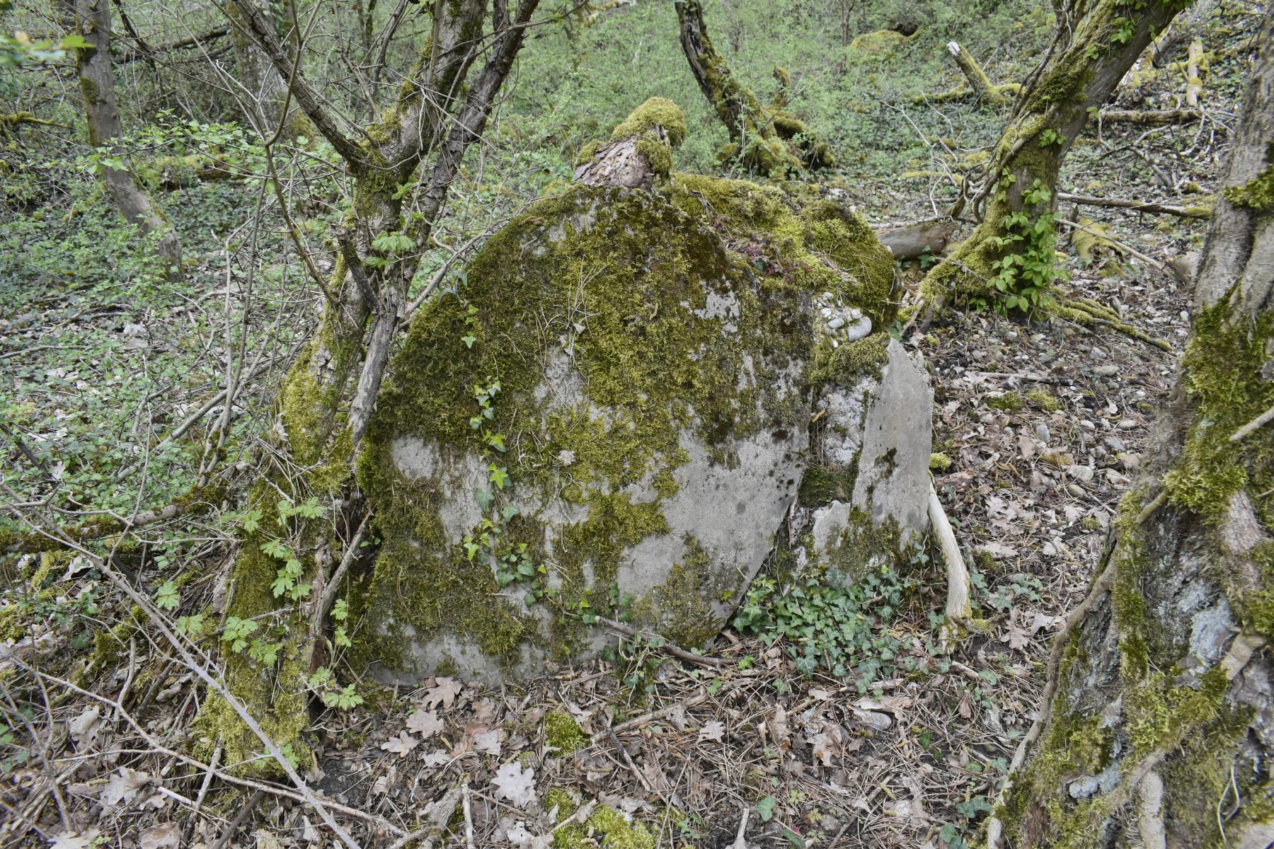 Ligne Maginot - BATTENHEIM ECLUSE 44 SUD - (Cuve pour arme d'infanterie) - les restants de la dalle arrondi et une partie du créneau de tir - Daniel Froehly