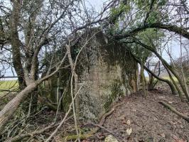 Ligne Maginot - REDELBORN - (Blockhaus pour arme infanterie) - Vue entière du blockhaus caché dans la végétation