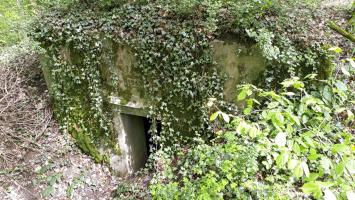 Ligne Maginot - CB119-C - OBERHEIDE 01 - (Blockhaus pour arme infanterie) - L'entrée
