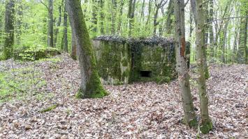 Ligne Maginot - CB203 - OBERHEIDE 05 - (Blockhaus pour arme infanterie) - Les deux blockhaus