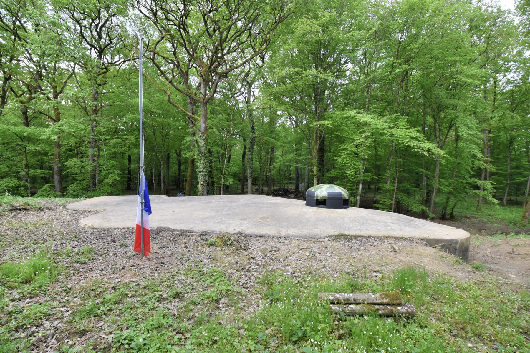 Ligne Maginot - BOIS DE KANFEN OUEST - C42 - (Casemate d'infanterie - Simple) -  - Ludovic KNAPP