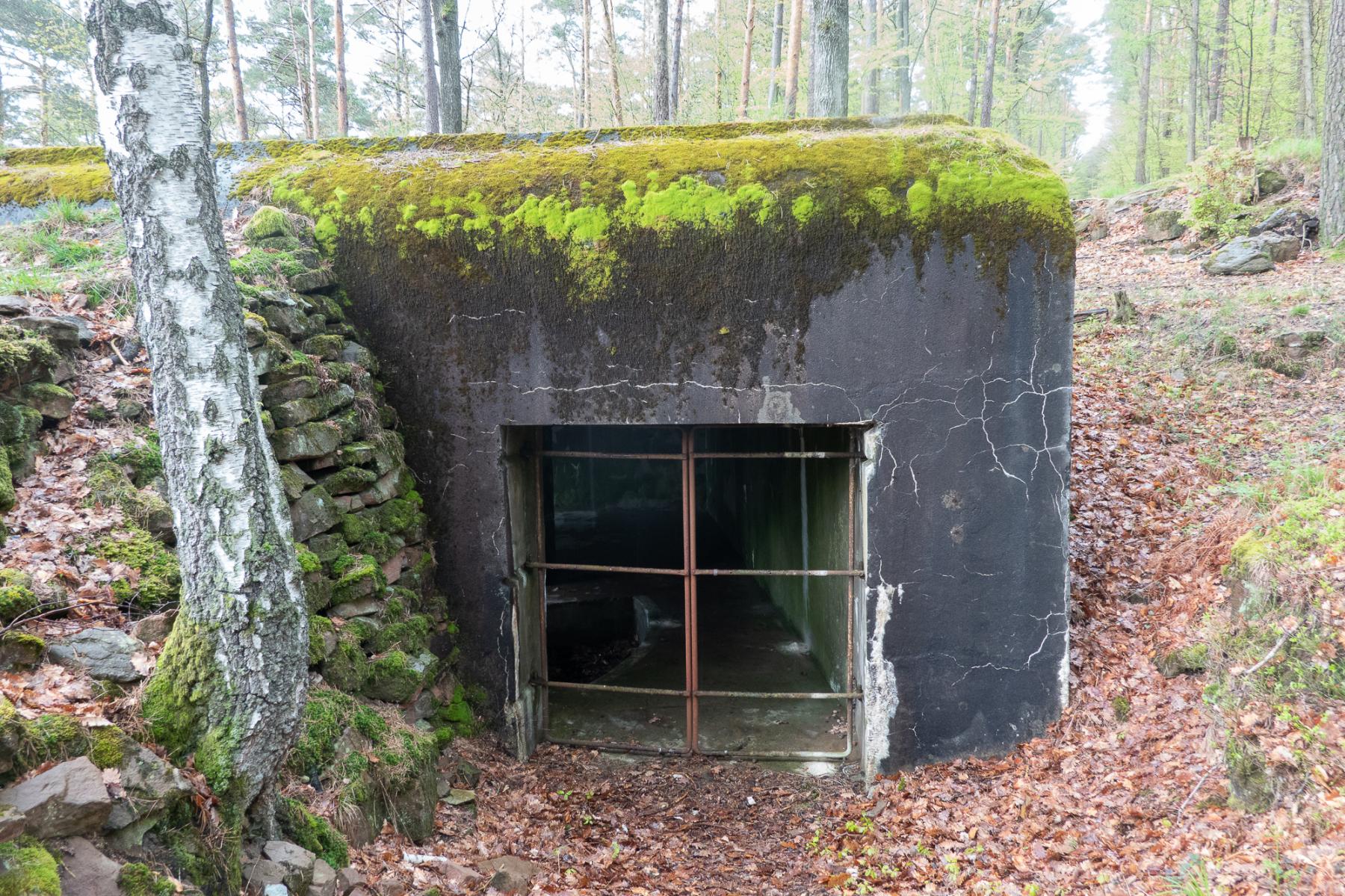 Ligne Maginot - WINDSTEIN - (Casemate d'artillerie) -  - Michel Teiten