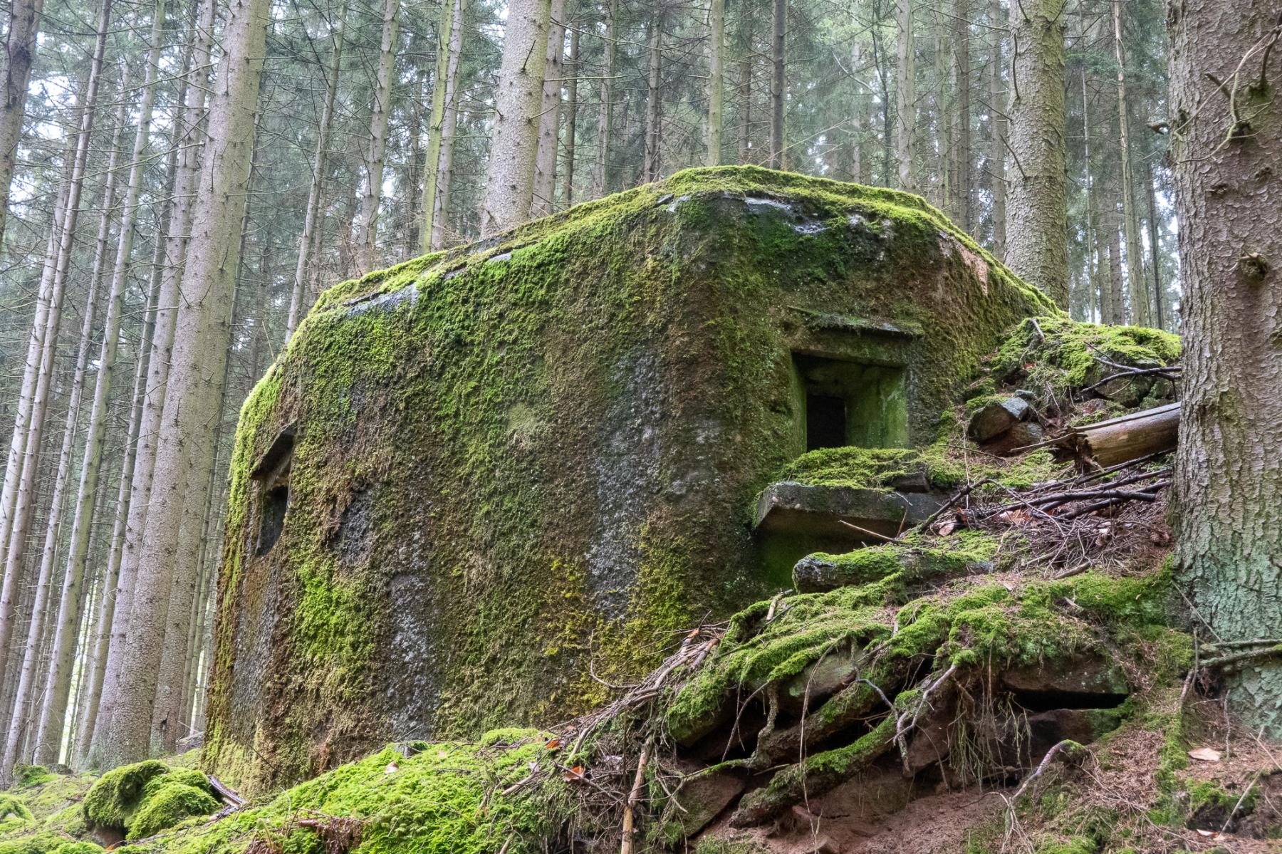 Ligne Maginot - FM77 - BETZENTHAL 4 - (Blockhaus pour arme infanterie) -  - Michel Teiten