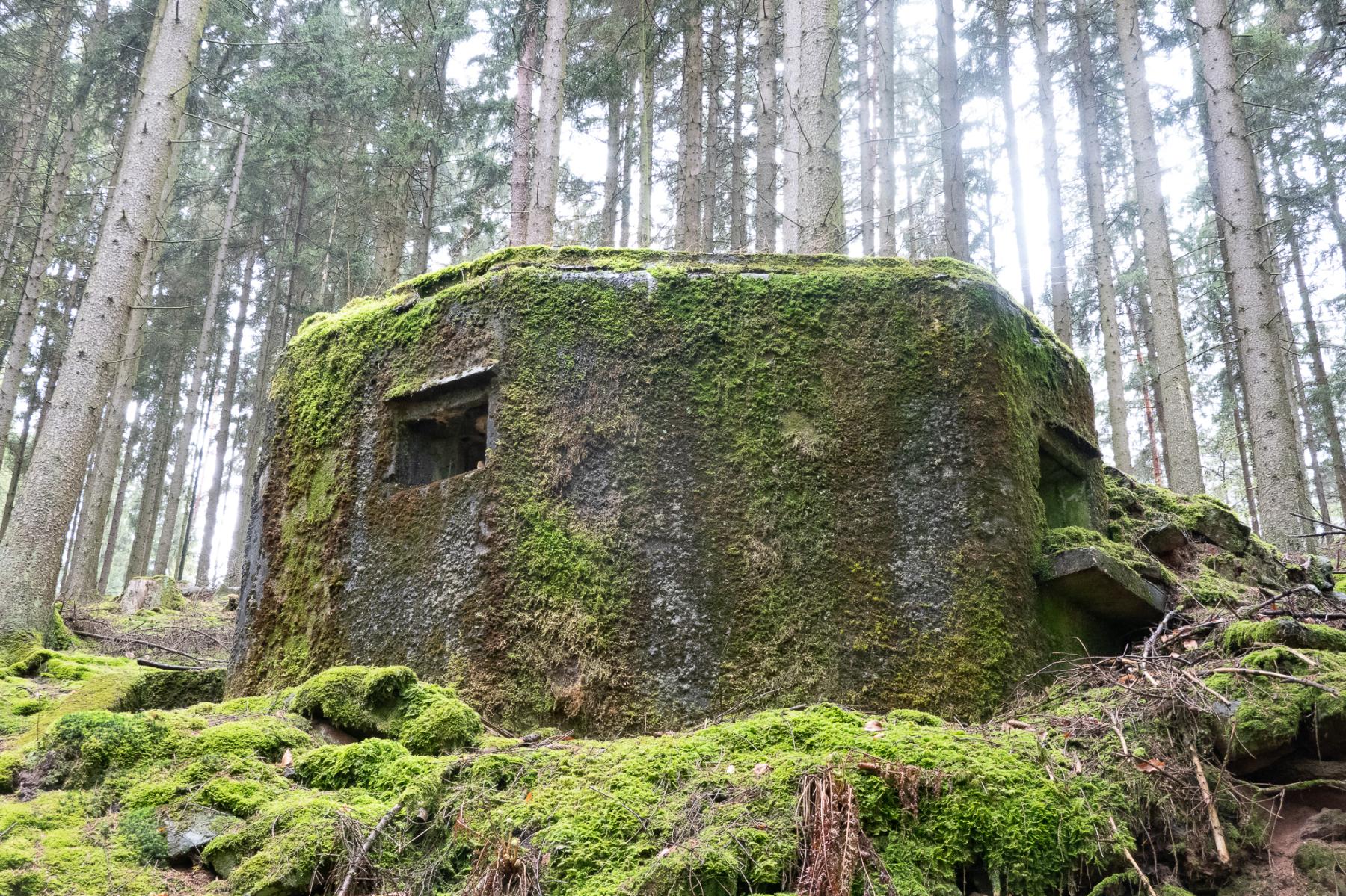 Ligne Maginot - FM77 - BETZENTHAL 4 - (Blockhaus pour arme infanterie) -  - Michel Teiten