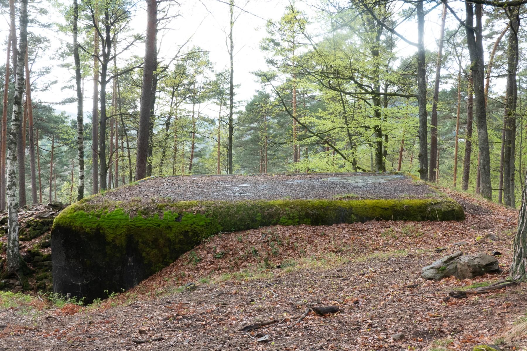 Ligne Maginot - WINDSTEIN - (Casemate d'artillerie) - Dessus de la casemate - Michel Teiten