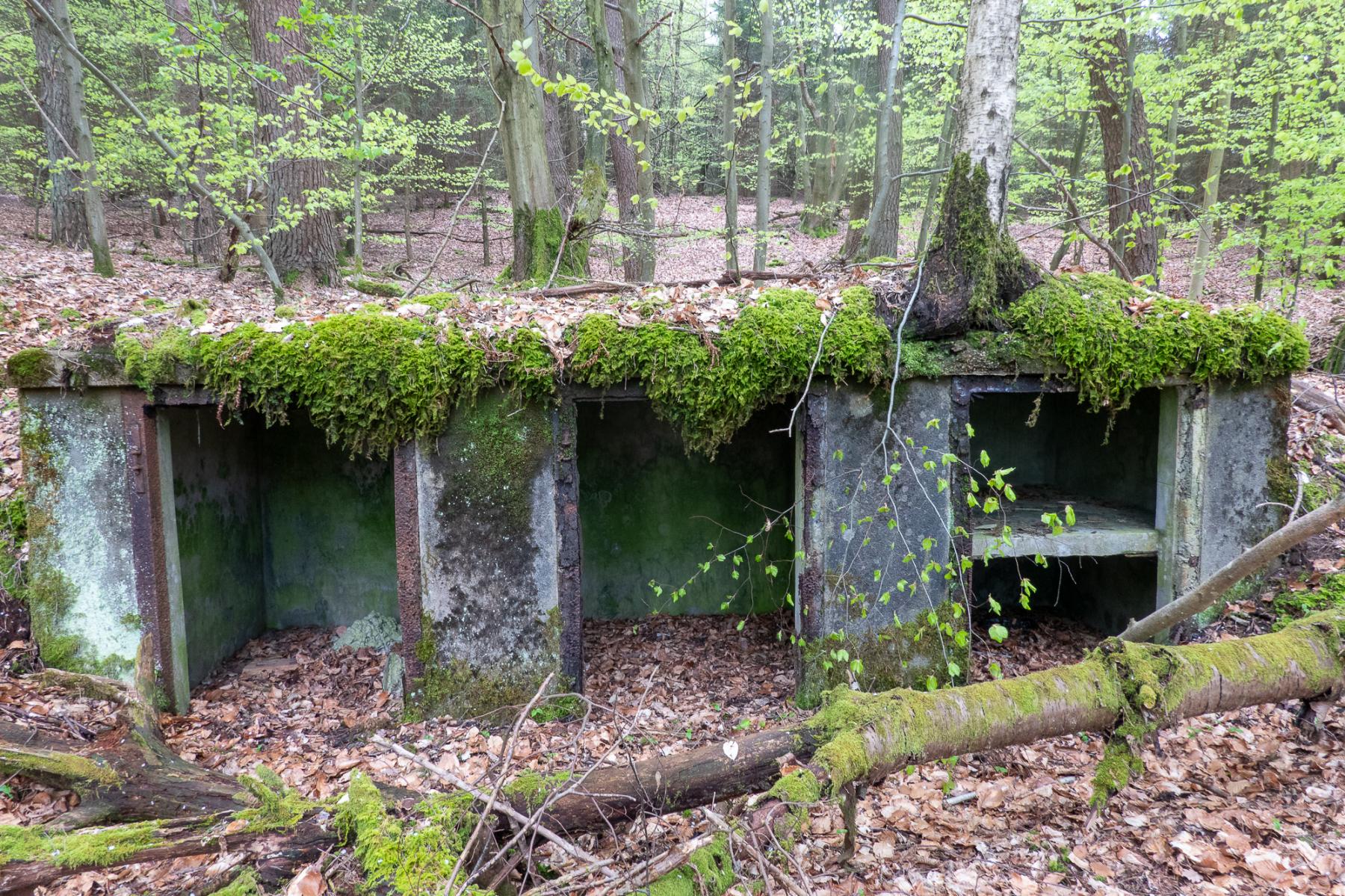 Ligne Maginot - HOCHWALD C1 - (Casemate d'infanterie - Simple) - Niches de stockage extérieur - Michel Teiten