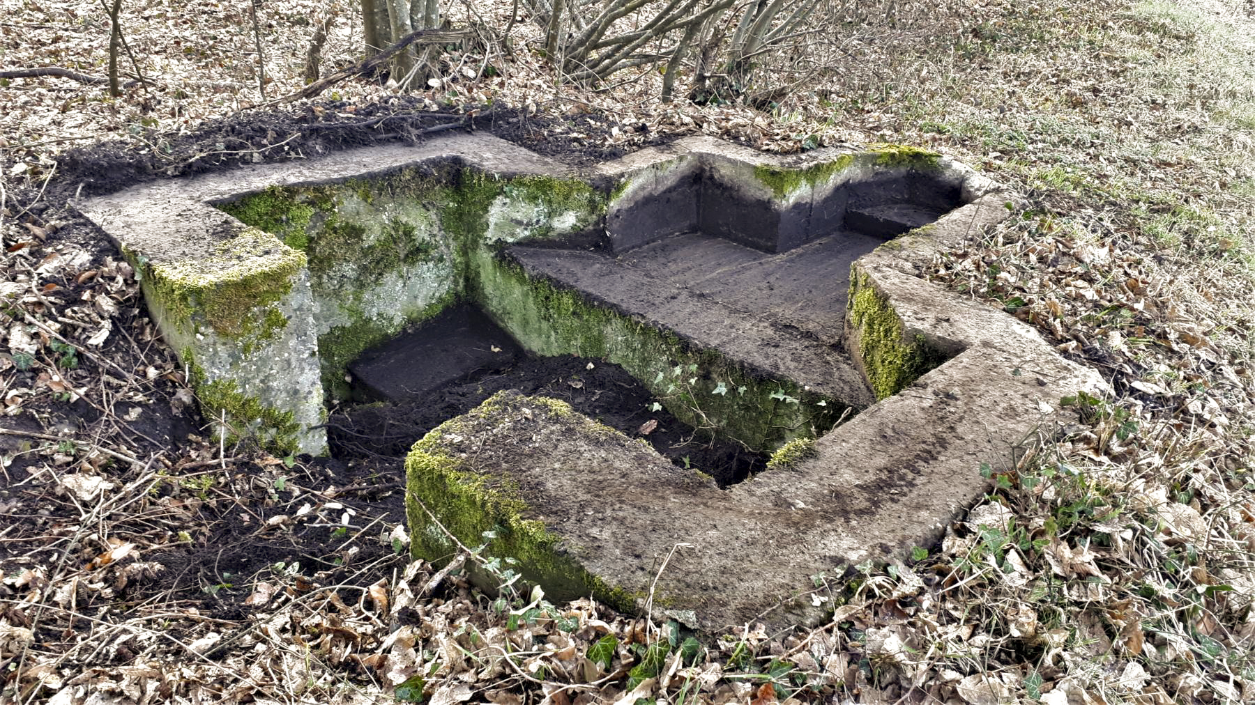 Ligne Maginot - NIEDERBETSCHDORF 6 - (Cuve pour arme d'infanterie) -  - Gregory Fuchs