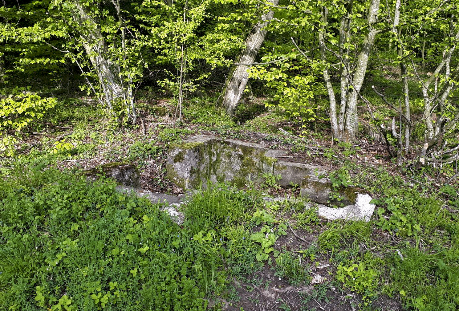 Ligne Maginot - NIEDERBETSCHDORF 6 - (Cuve pour arme d'infanterie) -  - Gregory Fuchs