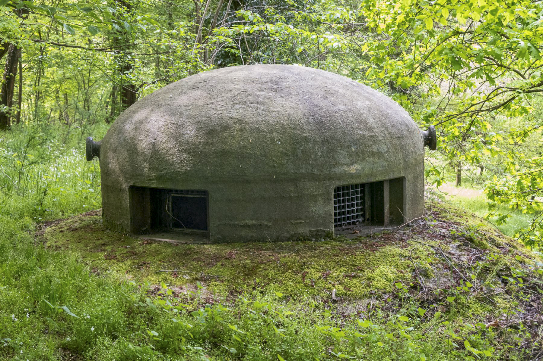 Ligne Maginot - HEIDENBUCKEL - (Abri) - Cloche GFM - Michel Teiten
