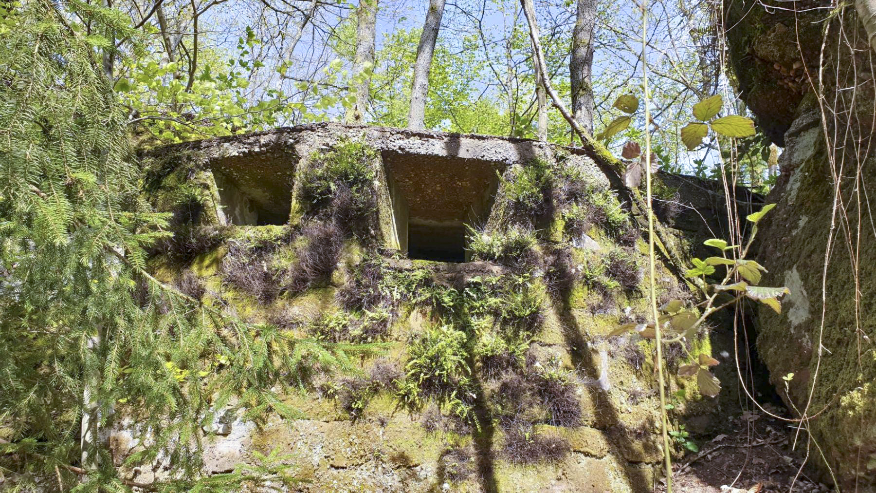 Ligne Maginot - HASPELSCHIEDT 7 (AVANT POSTE) - (Blockhaus pour arme infanterie) -  - Meyer Freddy