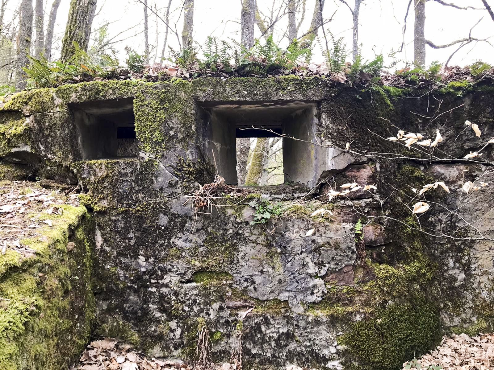 Ligne Maginot - HASPELSCHIEDT 7 (AVANT POSTE) - (Blockhaus pour arme infanterie) -  - Meyer Freddy
