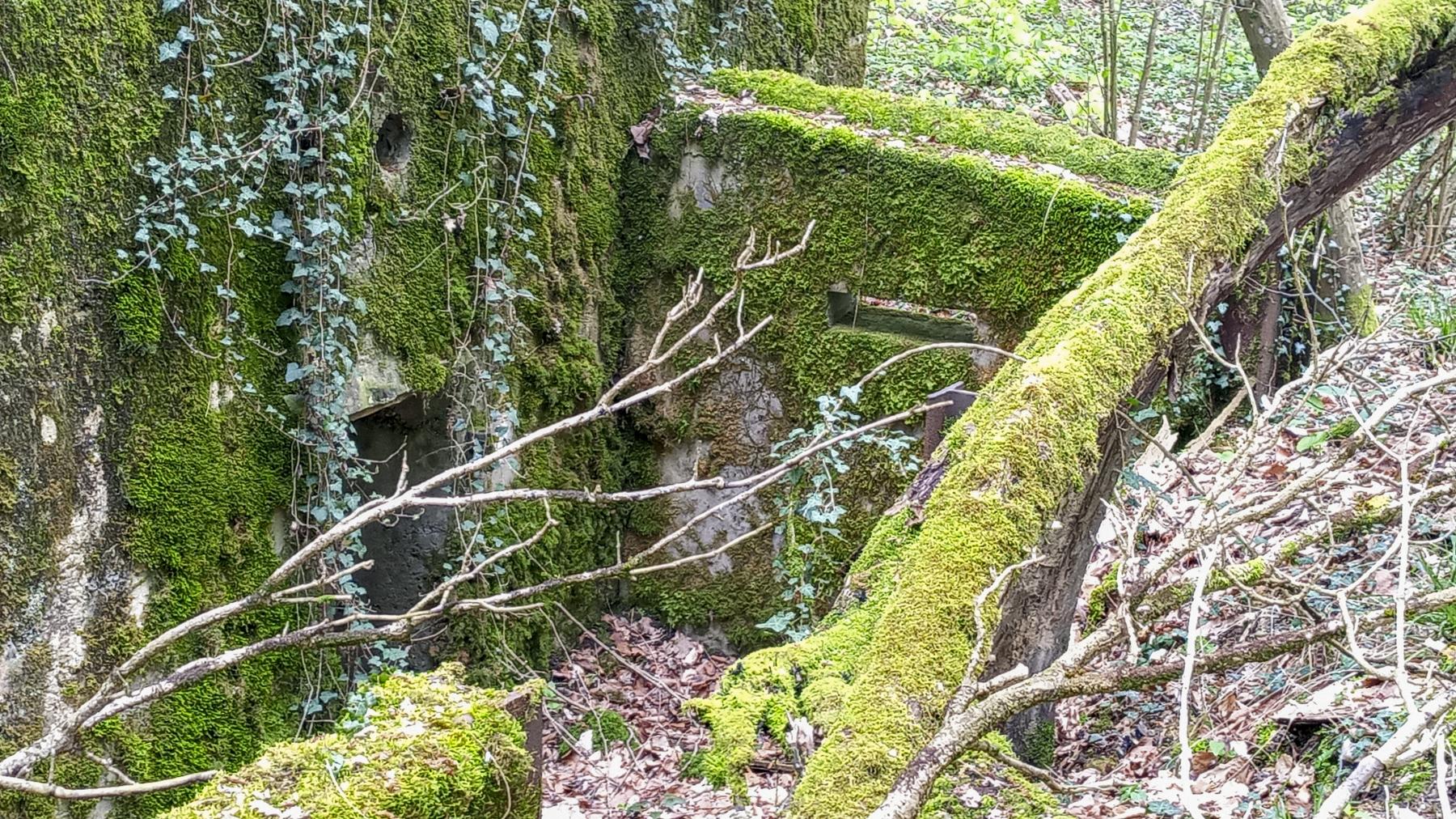 Ligne Maginot - CB280 - RETTELBOURG 2 - (Blockhaus pour arme infanterie) - Les murs du blockhaus annexe - Marc Fossoul