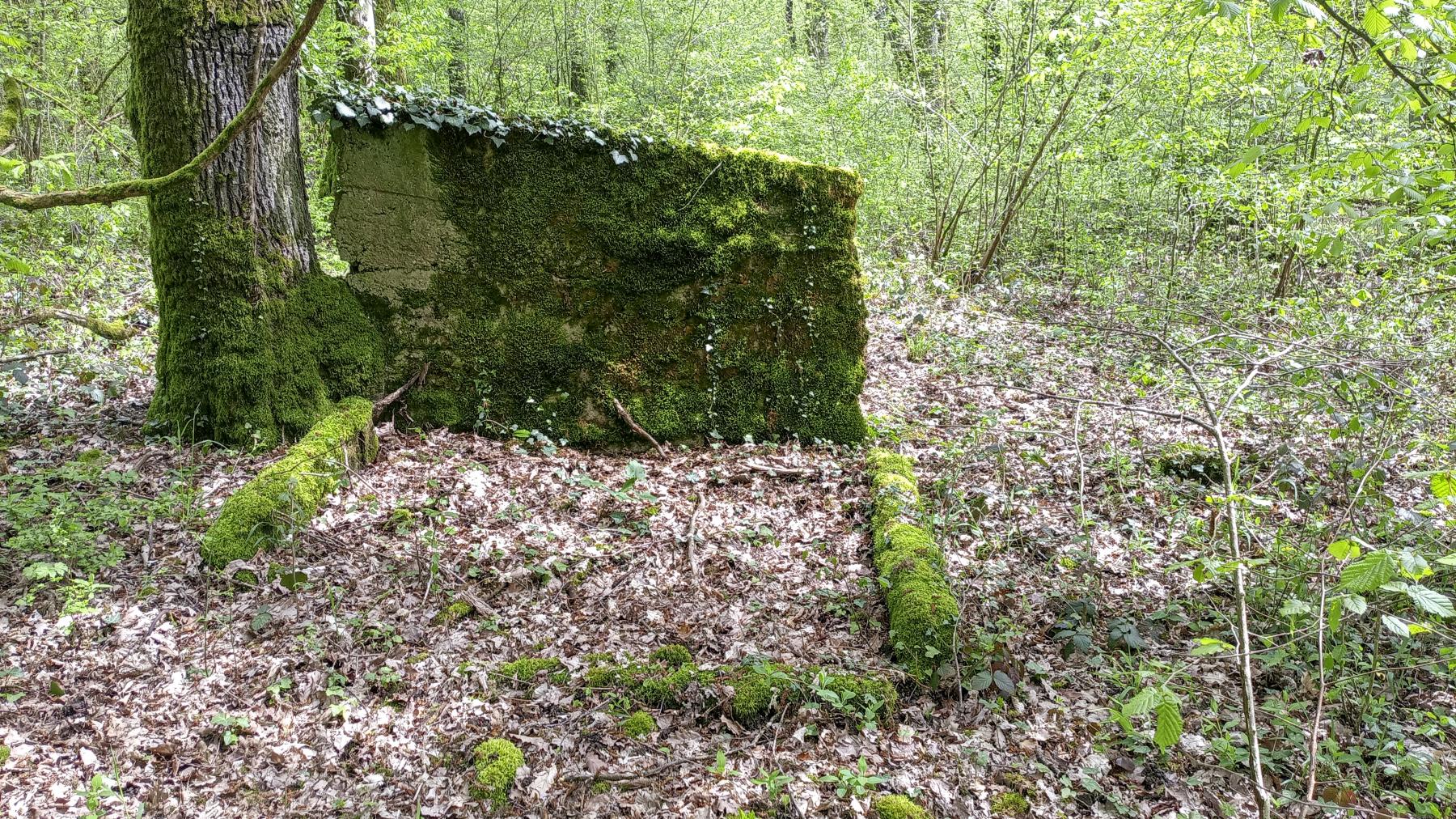 Ligne Maginot - OBERHEIDE - A14 - (Ouvrage d'infanterie) - Un mur, restant de..... - Marc Fossoul