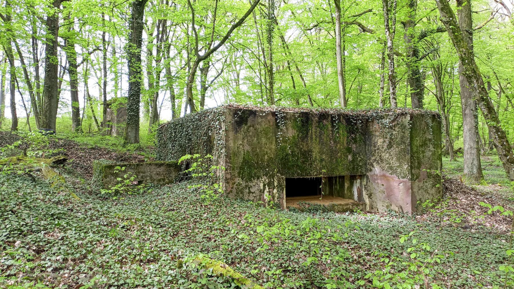 Ligne Maginot - CB118-C - OBERHEIDE 02 - (Blockhaus pour canon) -  - Marc Fossoul