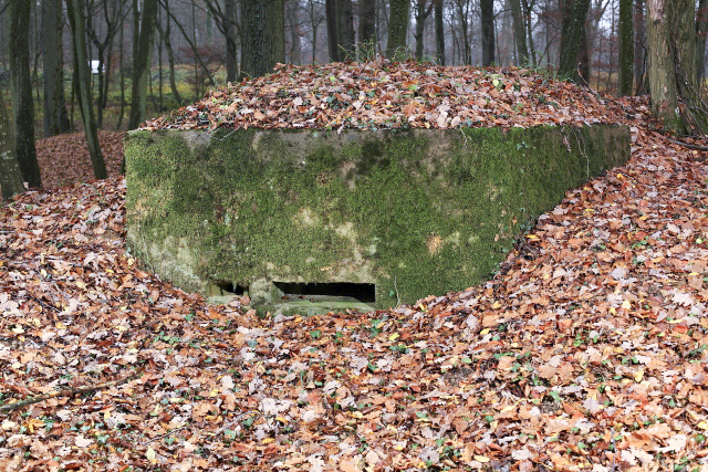 Ligne Maginot - OBERHEIDE - 116C (Blockhaus pour arme infanterie) -  - www.arnaultjl-photo.com