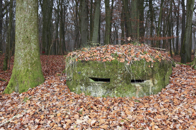 Ligne Maginot - CB203BIS - OBERHEIDE 06 - (Observatoire d'artillerie) - Le petit poste d'observation. - www.arnaultjl-photo.com