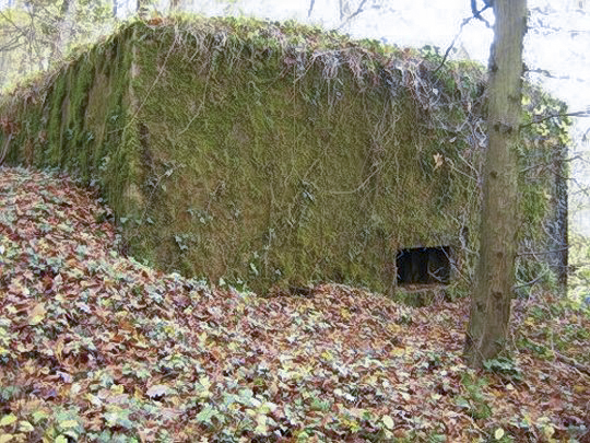 Ligne Maginot - CB204 - LONKICH 01 - (Blockhaus pour arme infanterie) -  - AALMA - lignemaginot.com