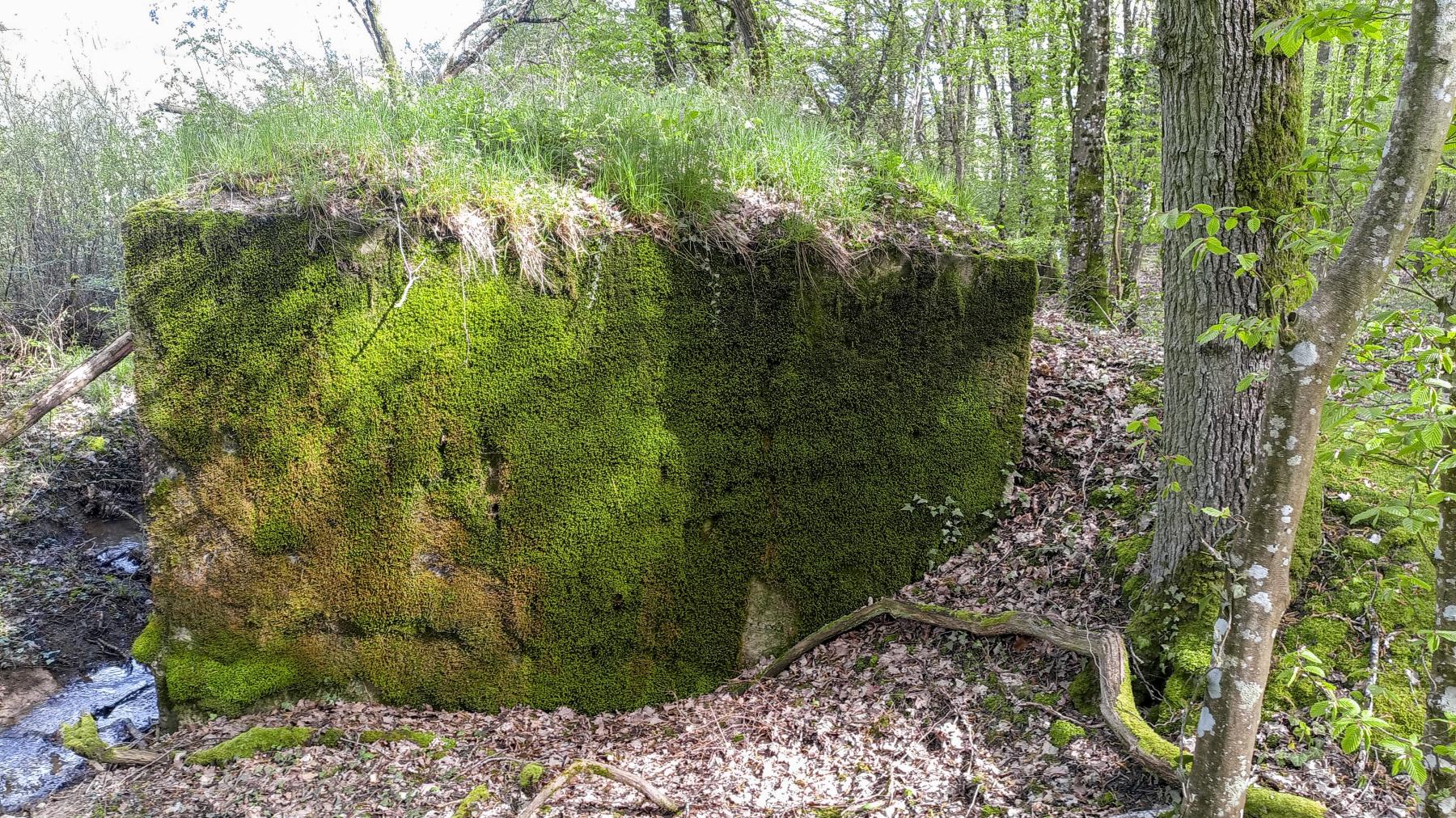 Ligne Maginot - CB204 - LONKICH 01 - (Blockhaus pour arme infanterie) - La face arrière - Marc Fossoul