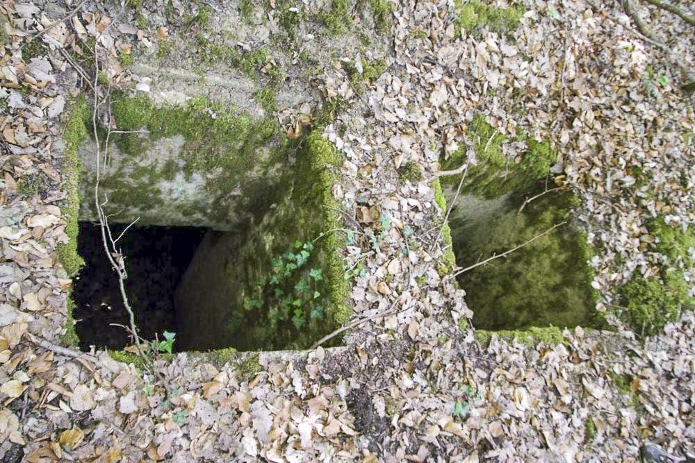 Ligne Maginot - O45 - OBERHEIDE - (Observatoire d'artillerie) - Les créneaux de l'observatoire - Michel Teiten