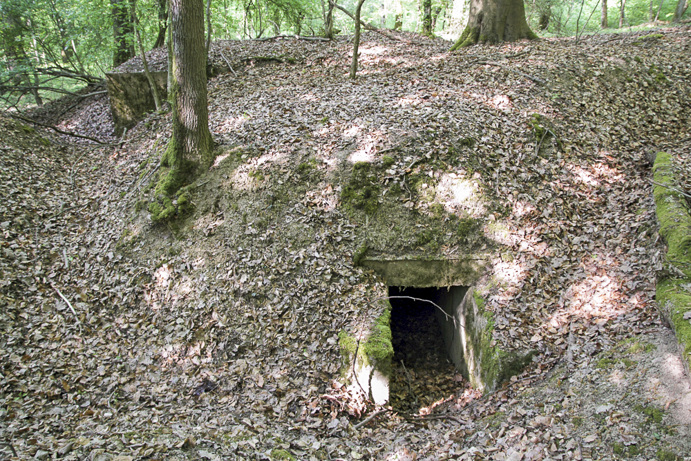 Ligne Maginot - O45 - OBERHEIDE - (Observatoire d'artillerie) - L'entrée de l'observatoire - Michel Teiten