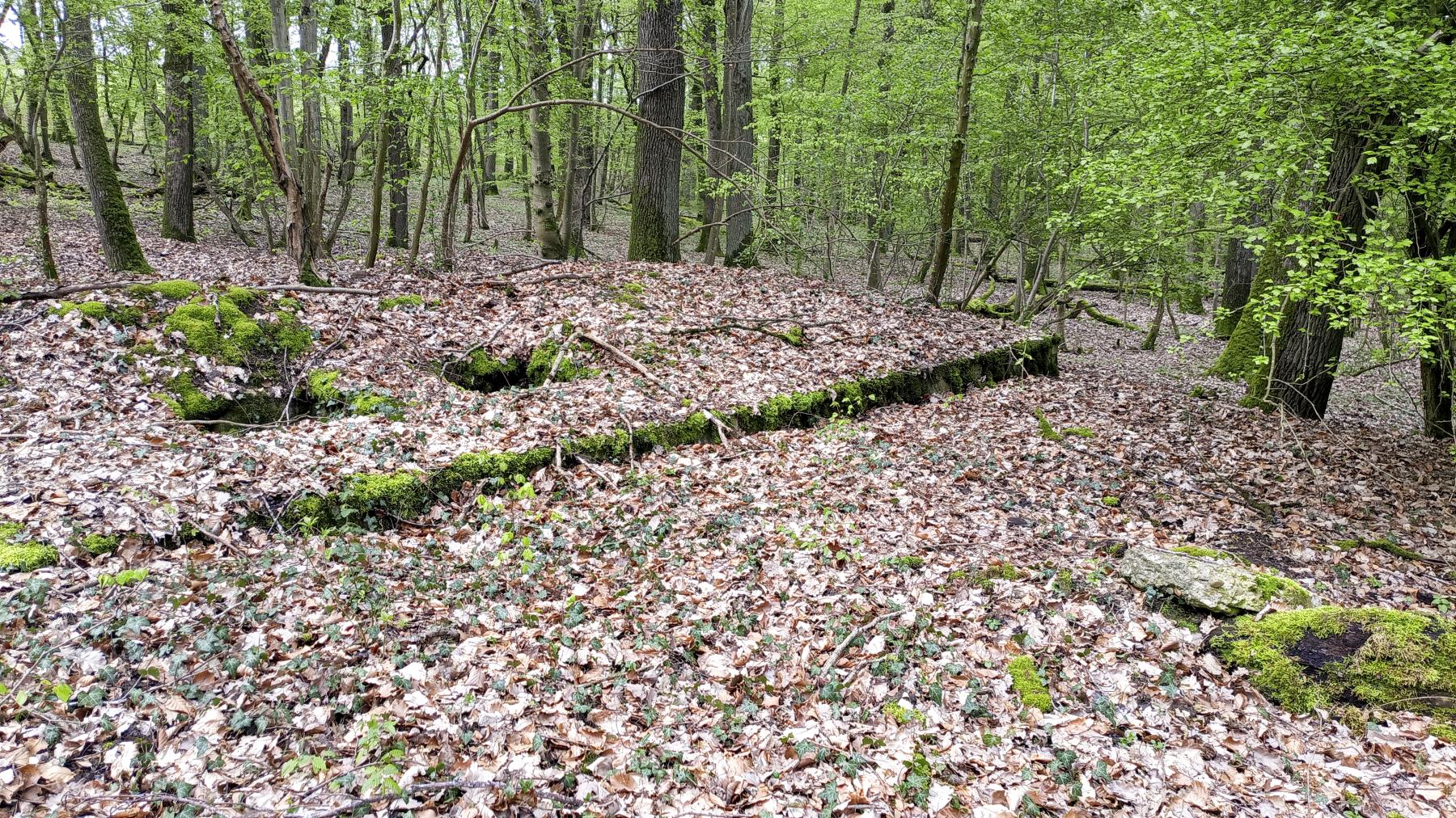 Ligne Maginot - O45 - OBERHEIDE - (Observatoire d'artillerie) -  - Marc Fossoul