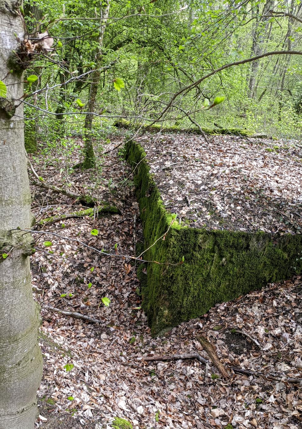 Ligne Maginot - O45 - OBERHEIDE - (Observatoire d'artillerie) -  - Marc Fossoul