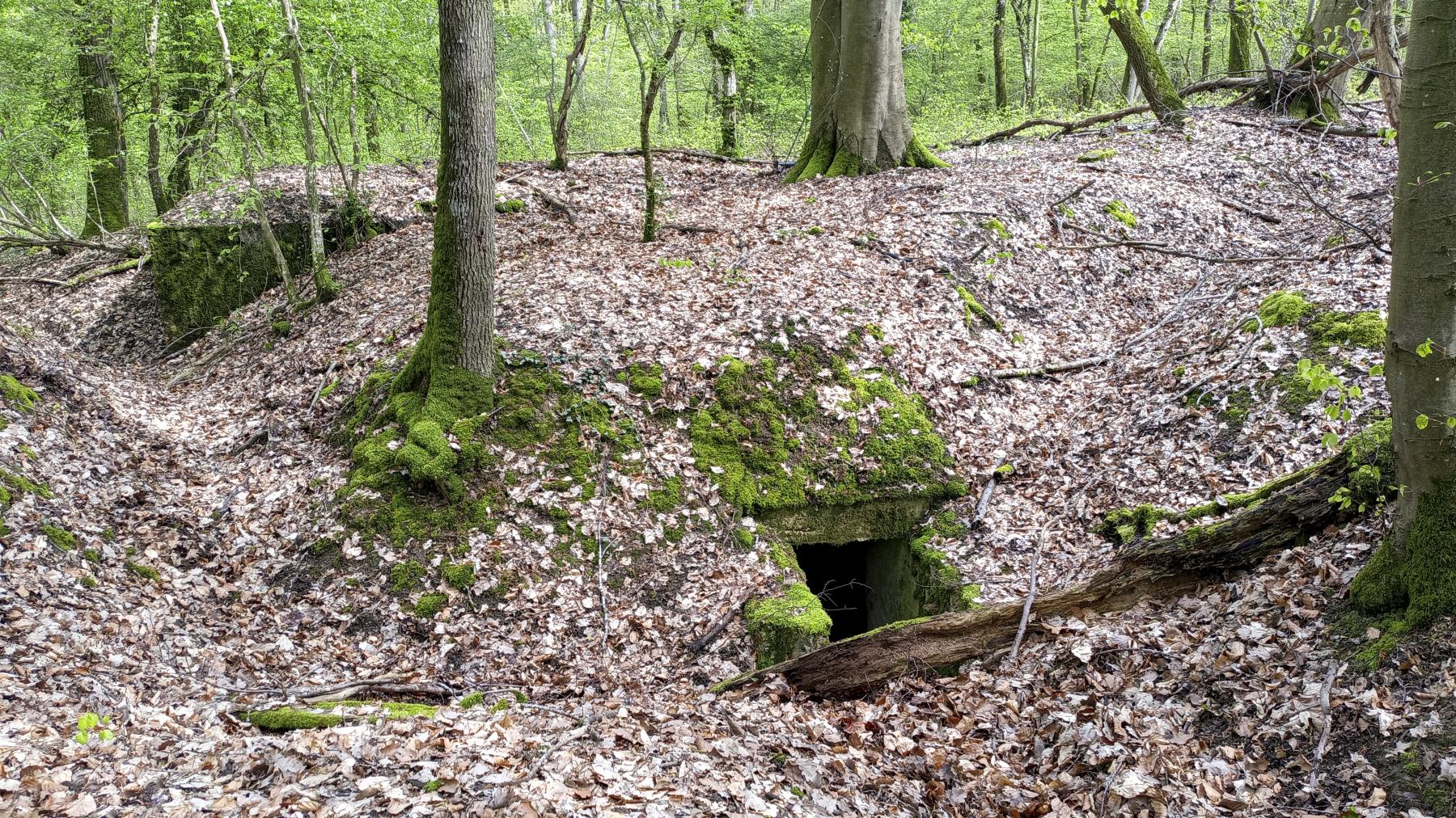 Ligne Maginot - O45 - OBERHEIDE - (Observatoire d'artillerie) - L'entrée - Marc Fossoul
