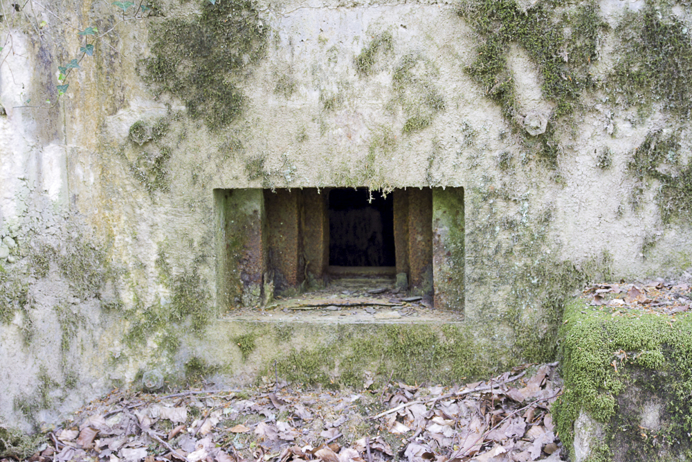 Ligne Maginot - CB203 - OBERHEIDE 05 - (Blockhaus pour arme infanterie) - Vue extérieure du créneau - Michel Teiten