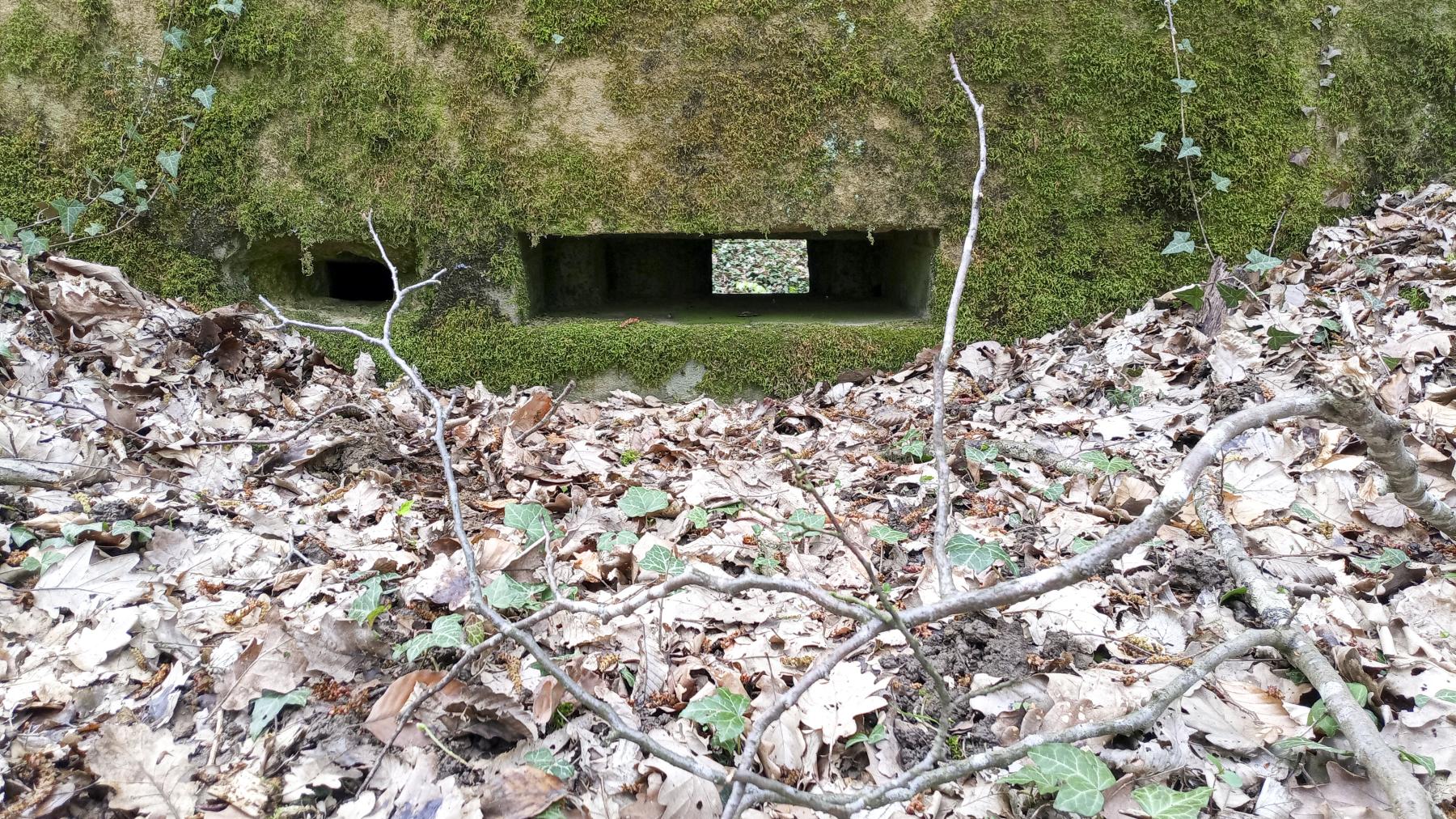 Ligne Maginot - OBERHEIDE - 116C - (Blockhaus pour arme infanterie) - Les deux ouvertures - Marc Fossoul