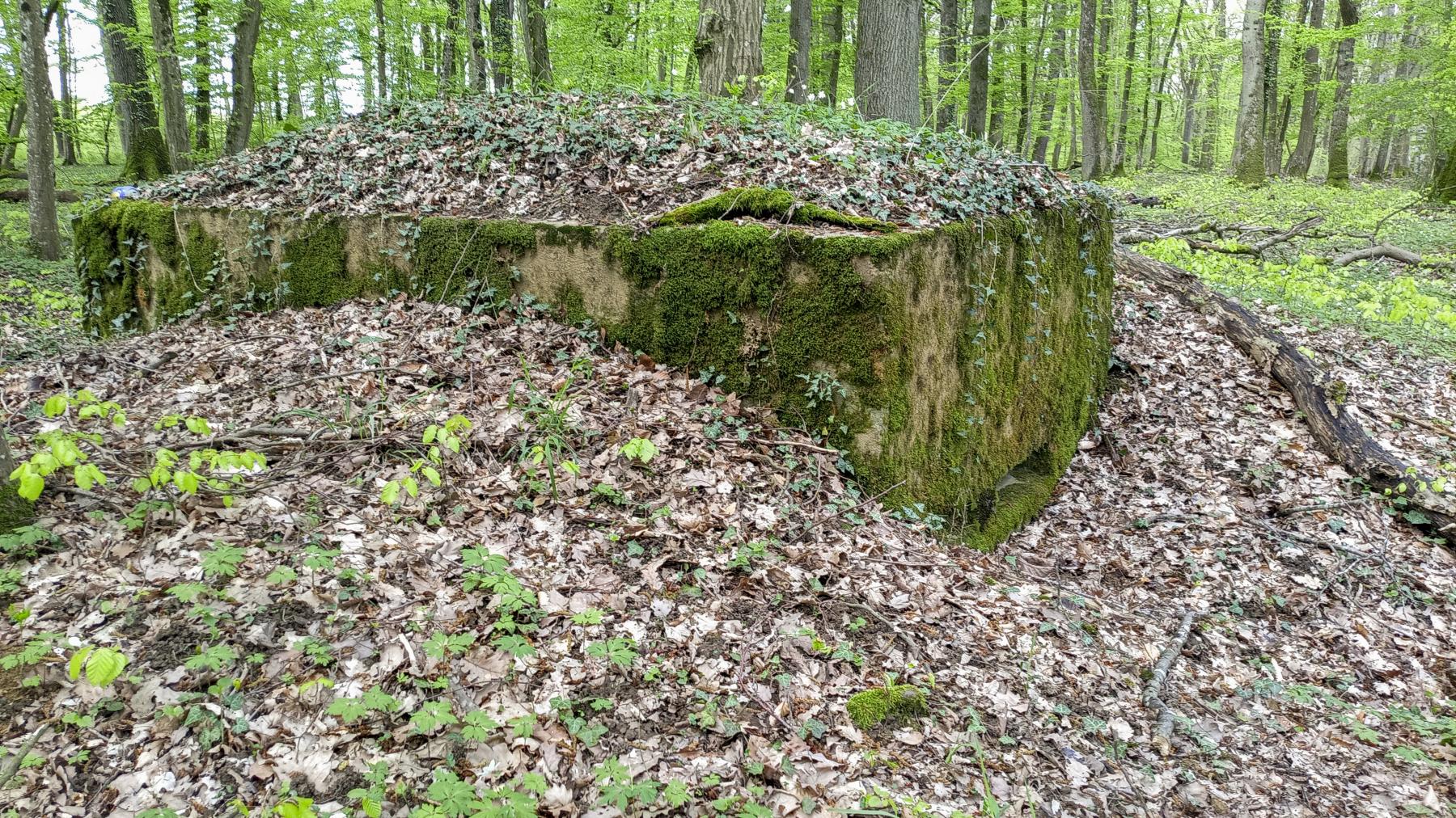 Ligne Maginot - OBERHEIDE - 116C - (Blockhaus pour arme infanterie) -  - Marc Fossoul