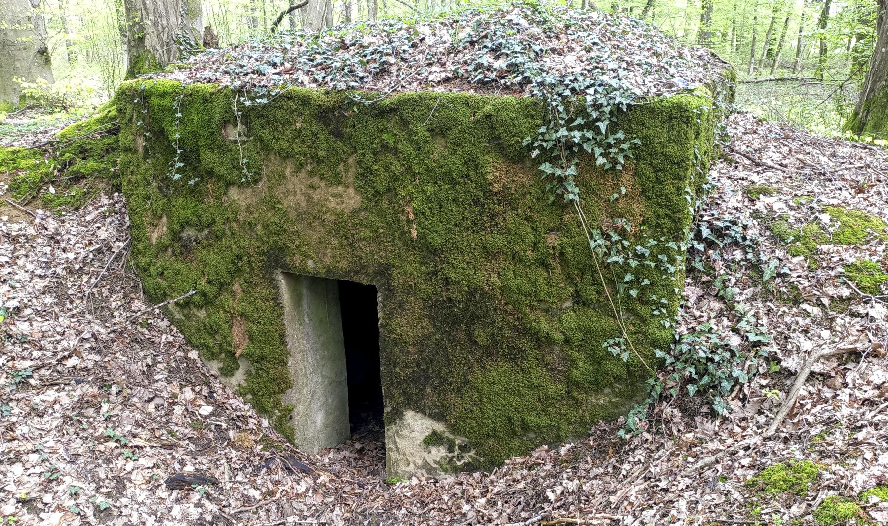 Ligne Maginot - OBERHEIDE - 116C - (Blockhaus pour arme infanterie) - L'entrée - Marc Fossoul
